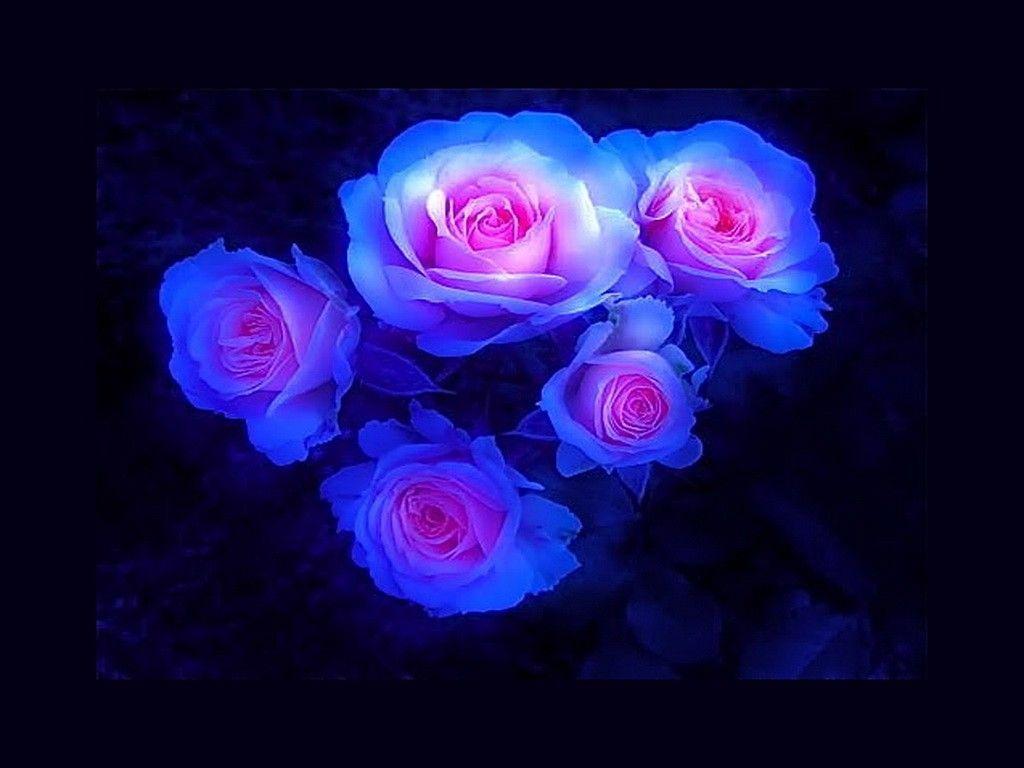 1024x768 Fairy Blue Flower hình nền