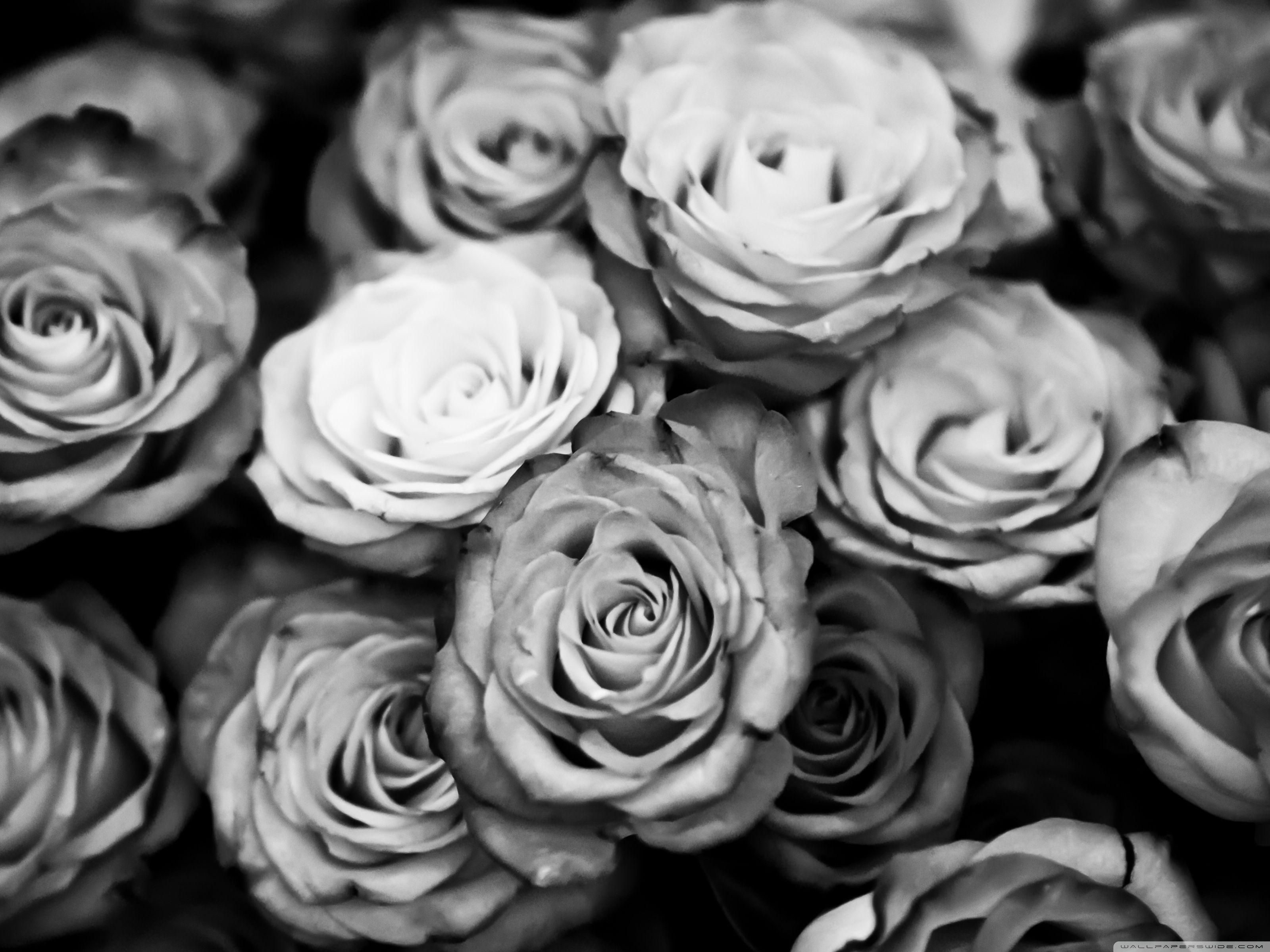 vintage flowers wallpaper black and white