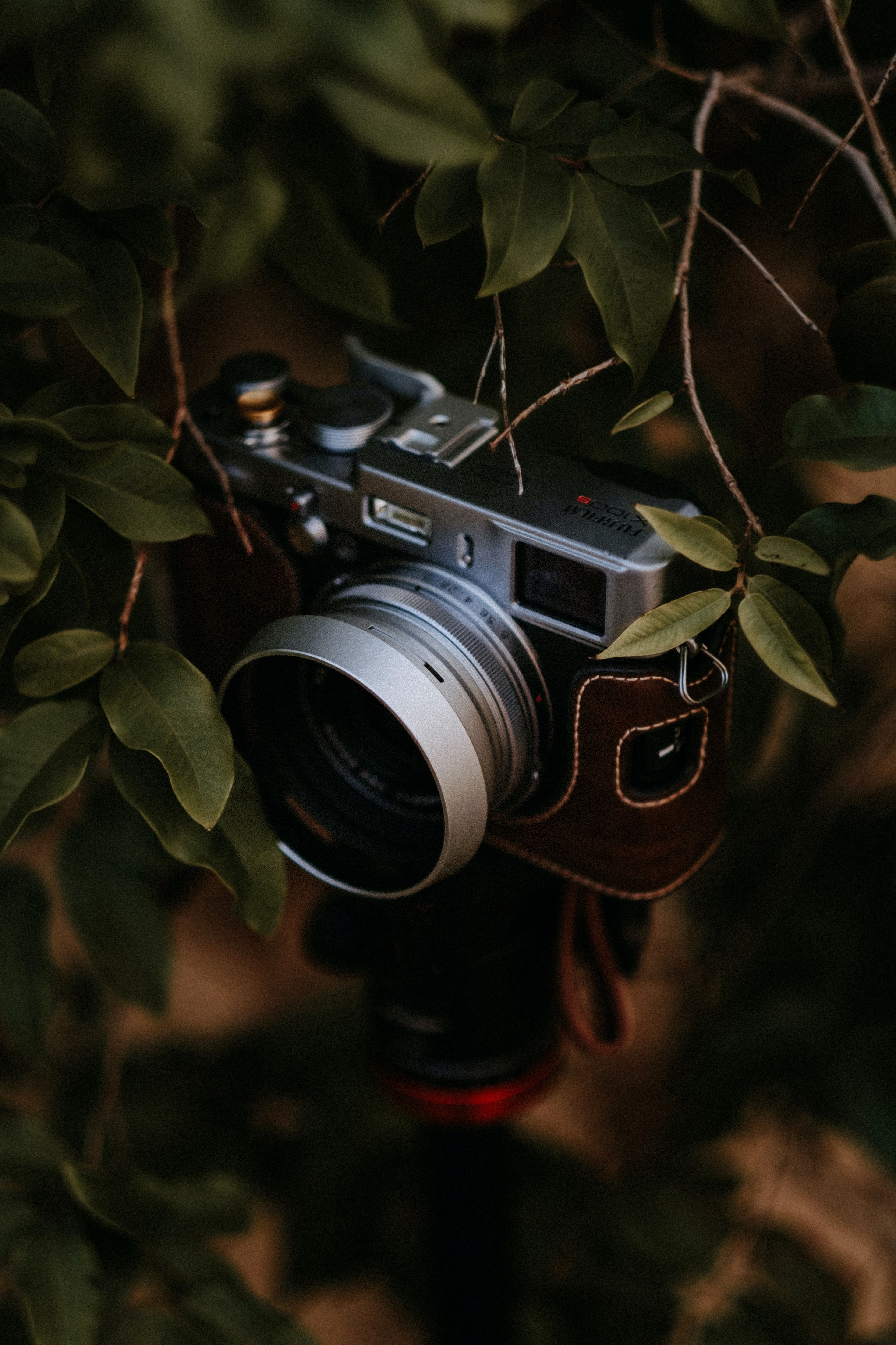 3837x5755 wallpaper: Camera, Branch, Leaves