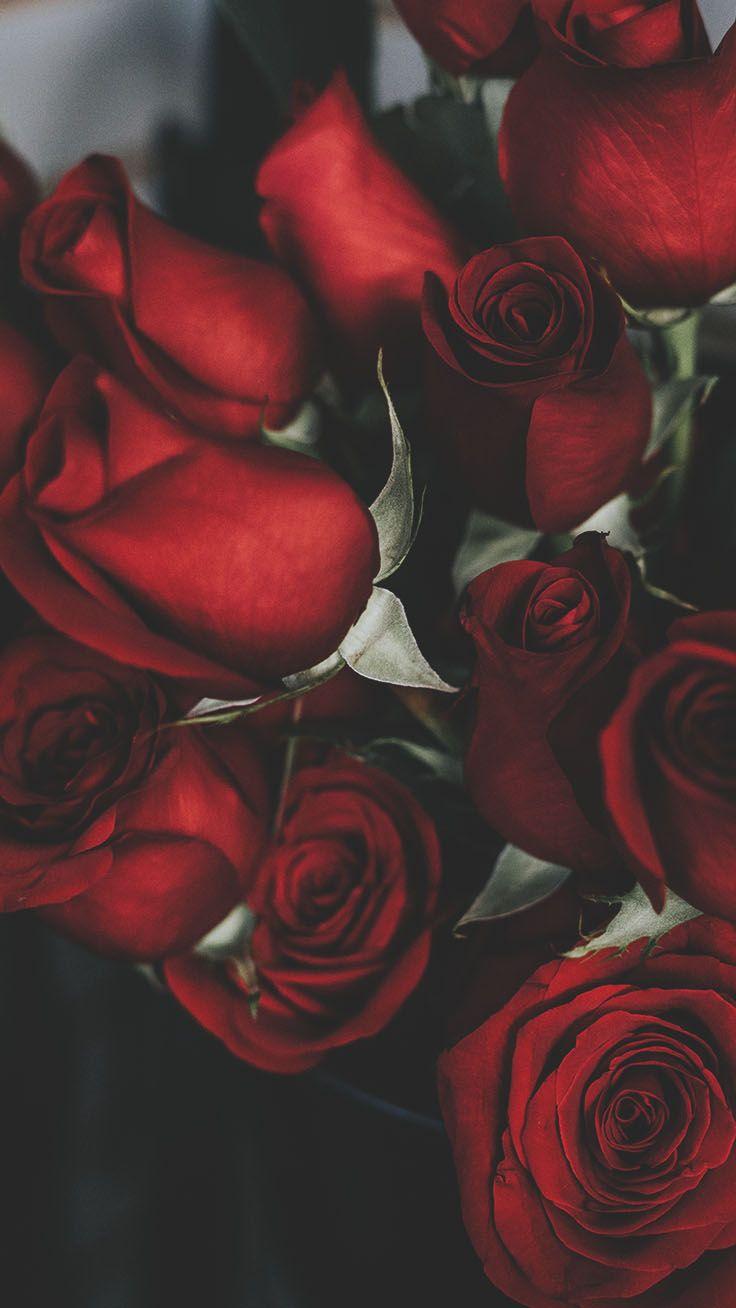 736x1308 Floral Roses iPhone Wallpaper By Preppy Wallpaper