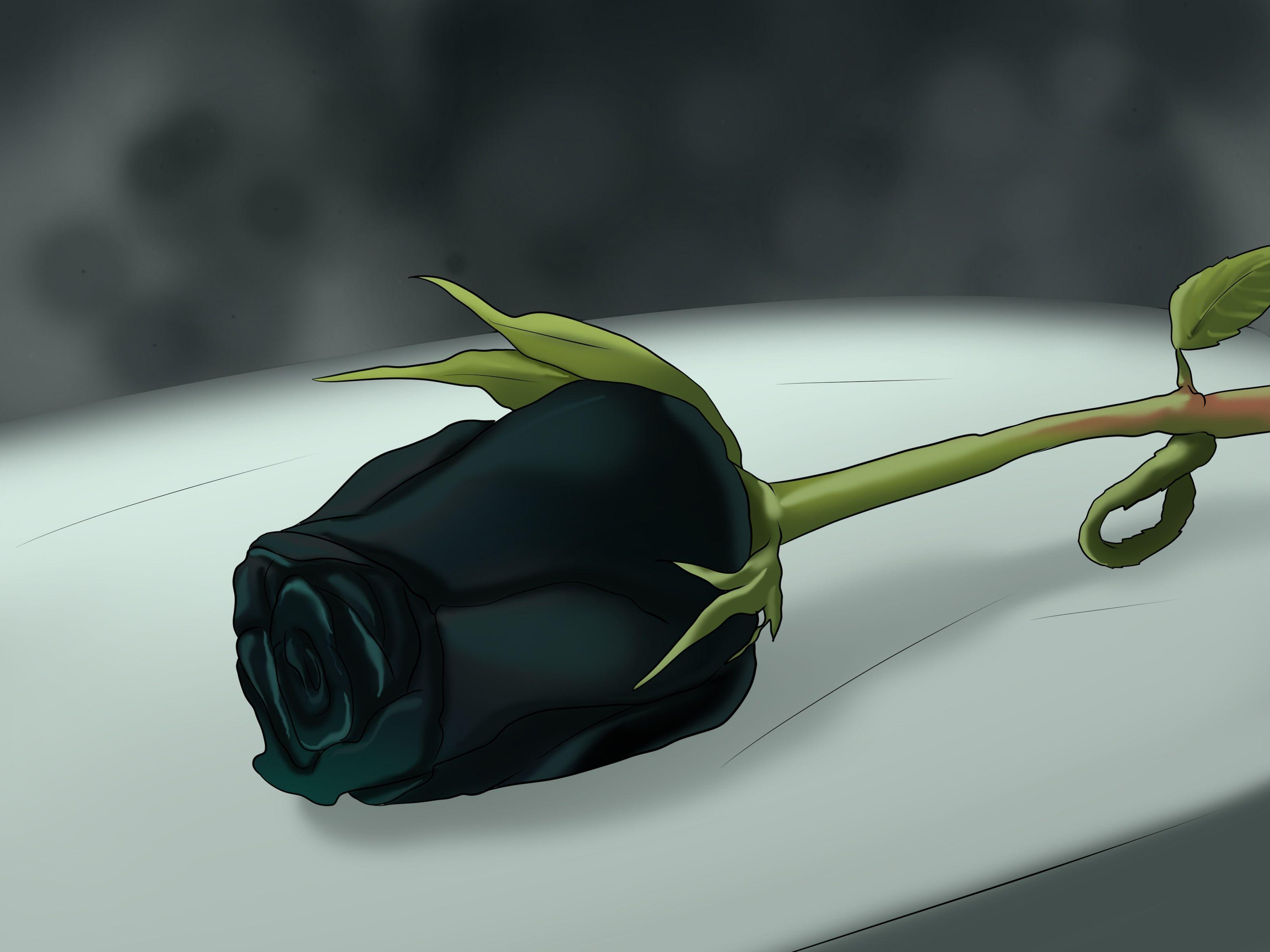 3200x2400 White Flowers rose Wallpaper (3200x2400)