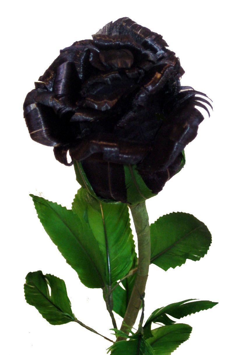 820x1218 Yellow Color Wallpaper: Black Rose Flowers