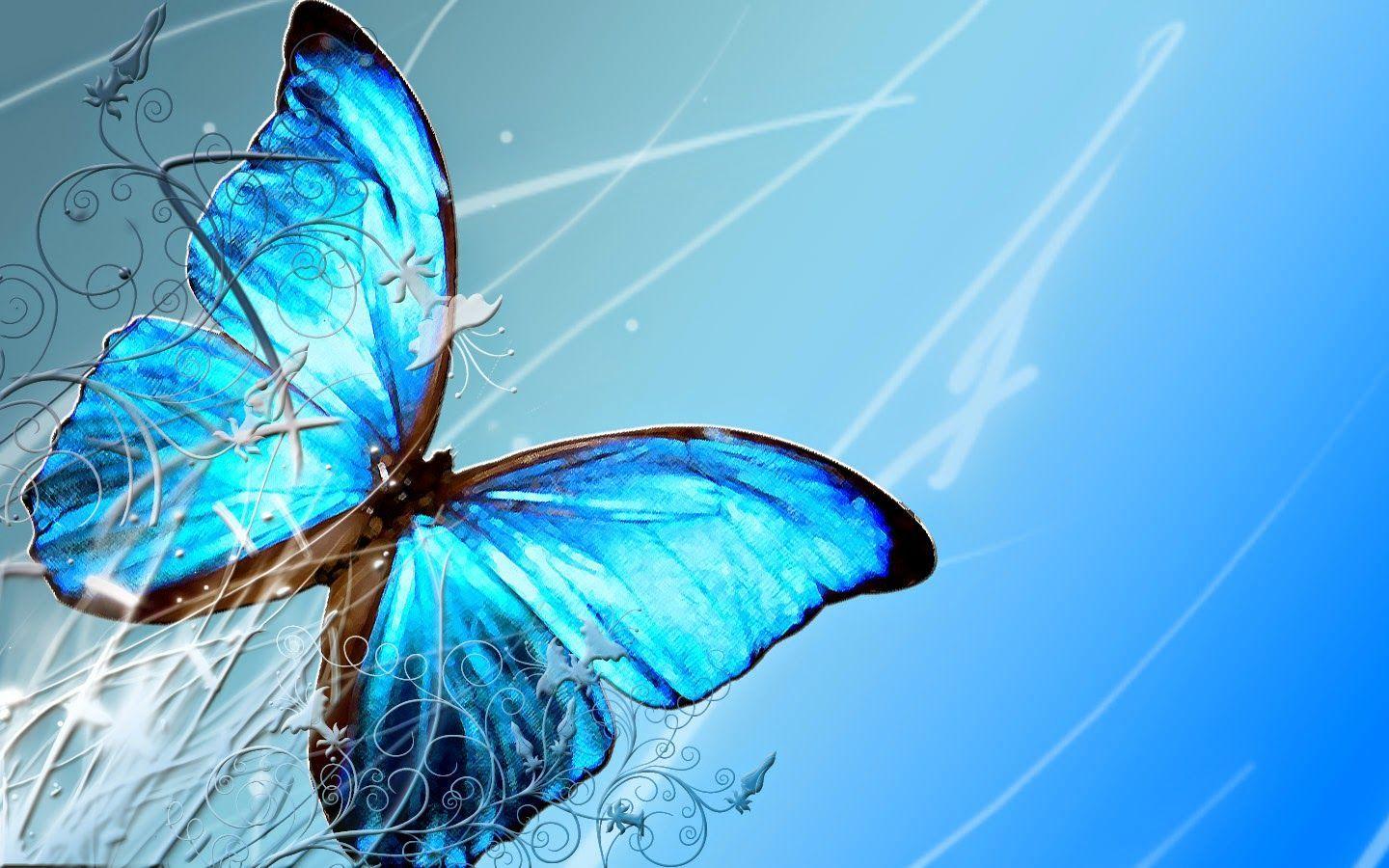 1440x900 Free Butterfly Desktop Background Butterfly Image