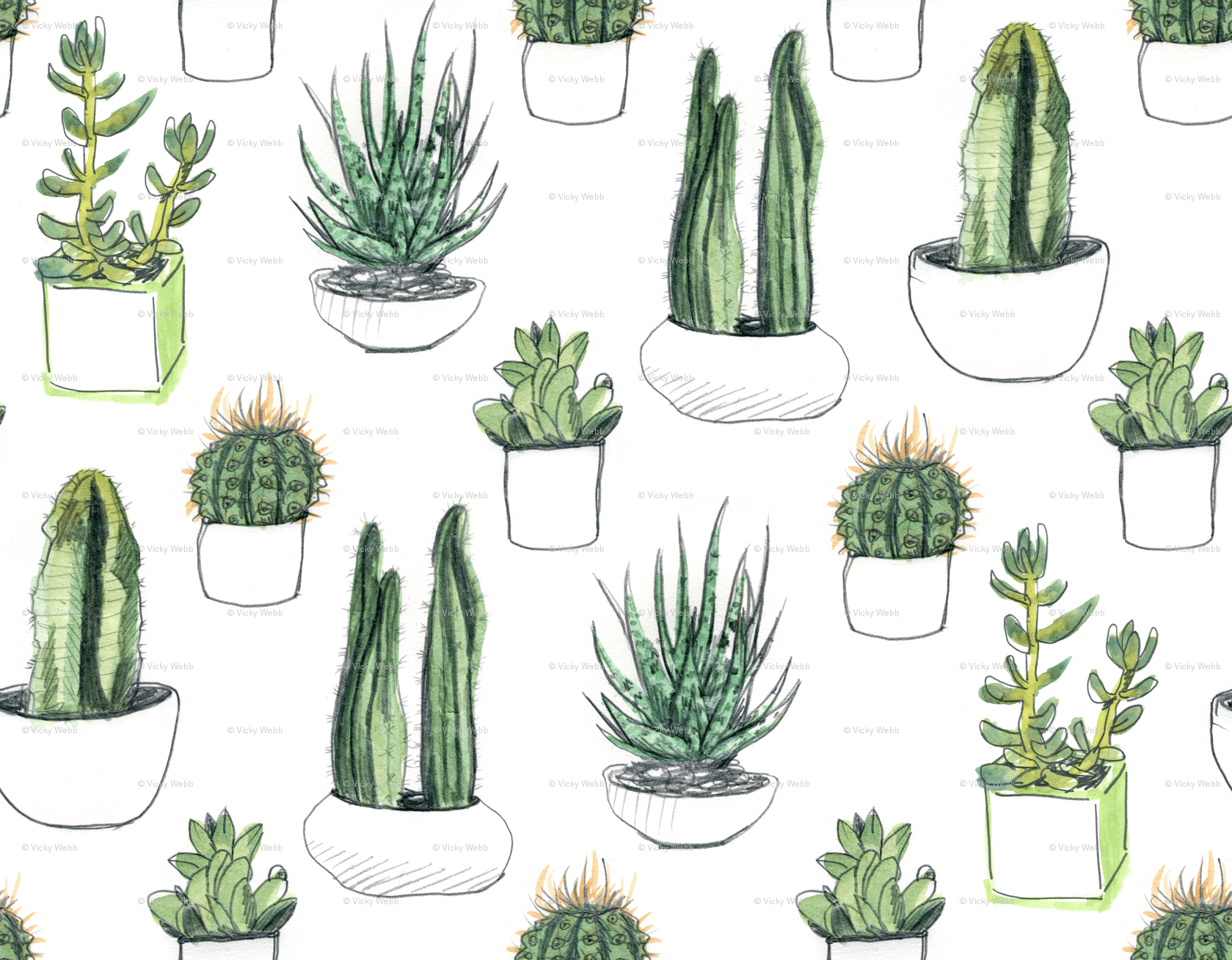 1679x1308 Succulent Wallpaper