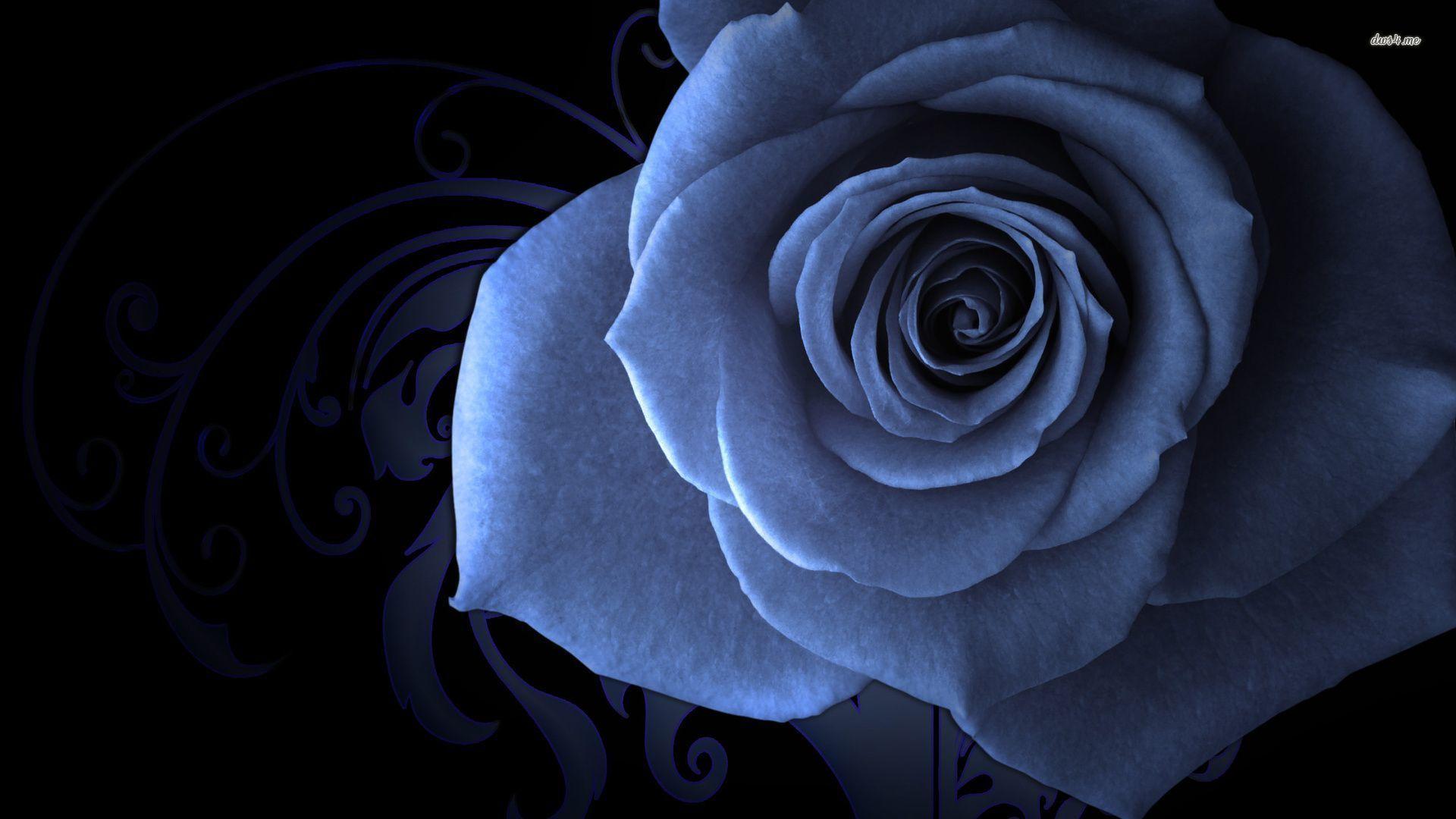 1920x1080 Hình nền hoa hồng xanh đen - Hình nền hoa