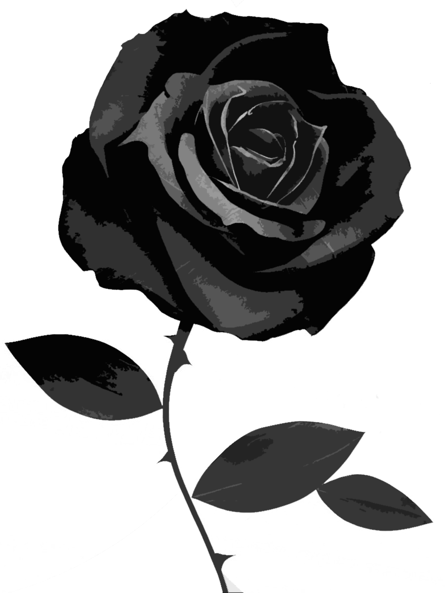 901x1200 Free download black and white rose wallpaper [901x1200]