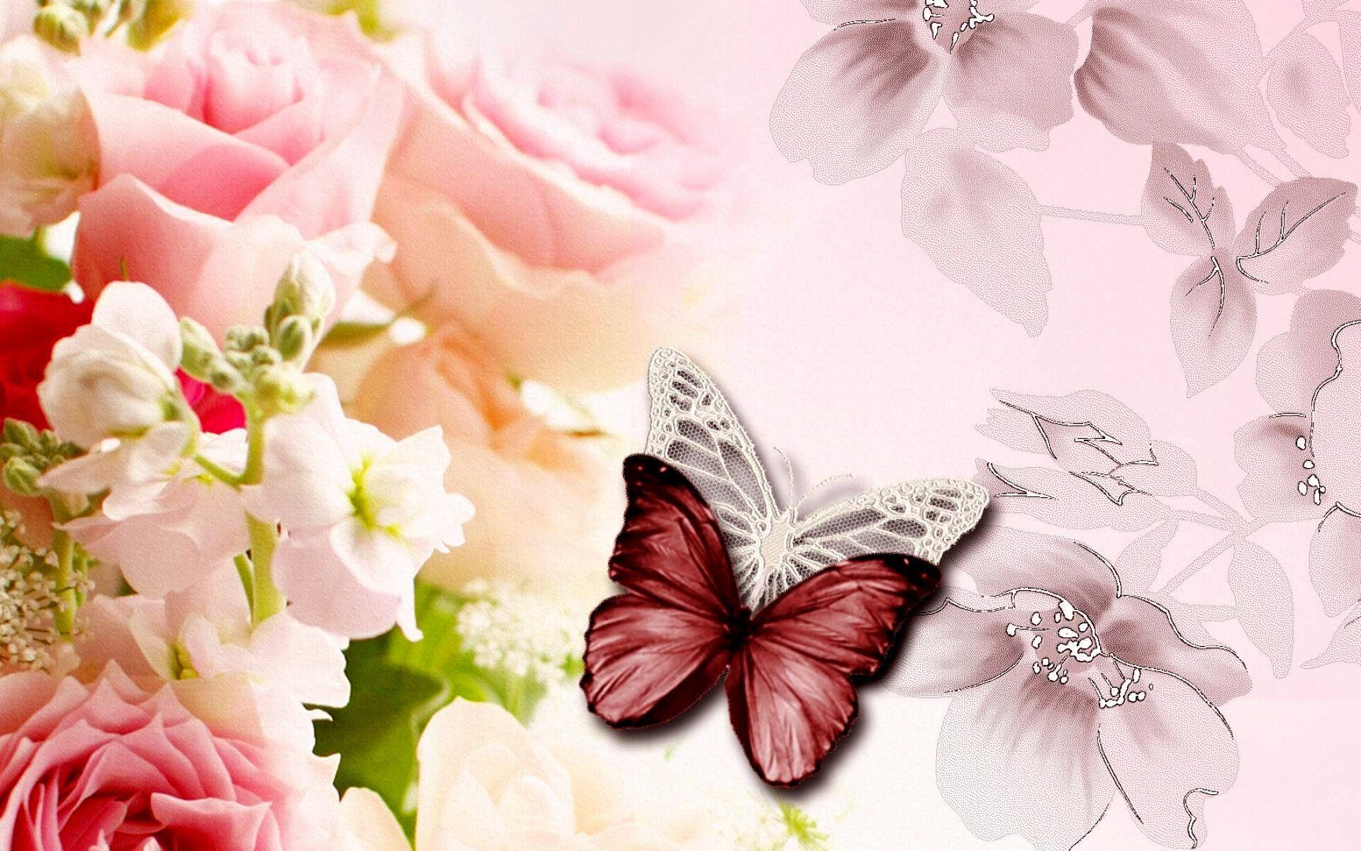 1920x1200 Pretty Butterfly Desktop Background Wallpaper Of