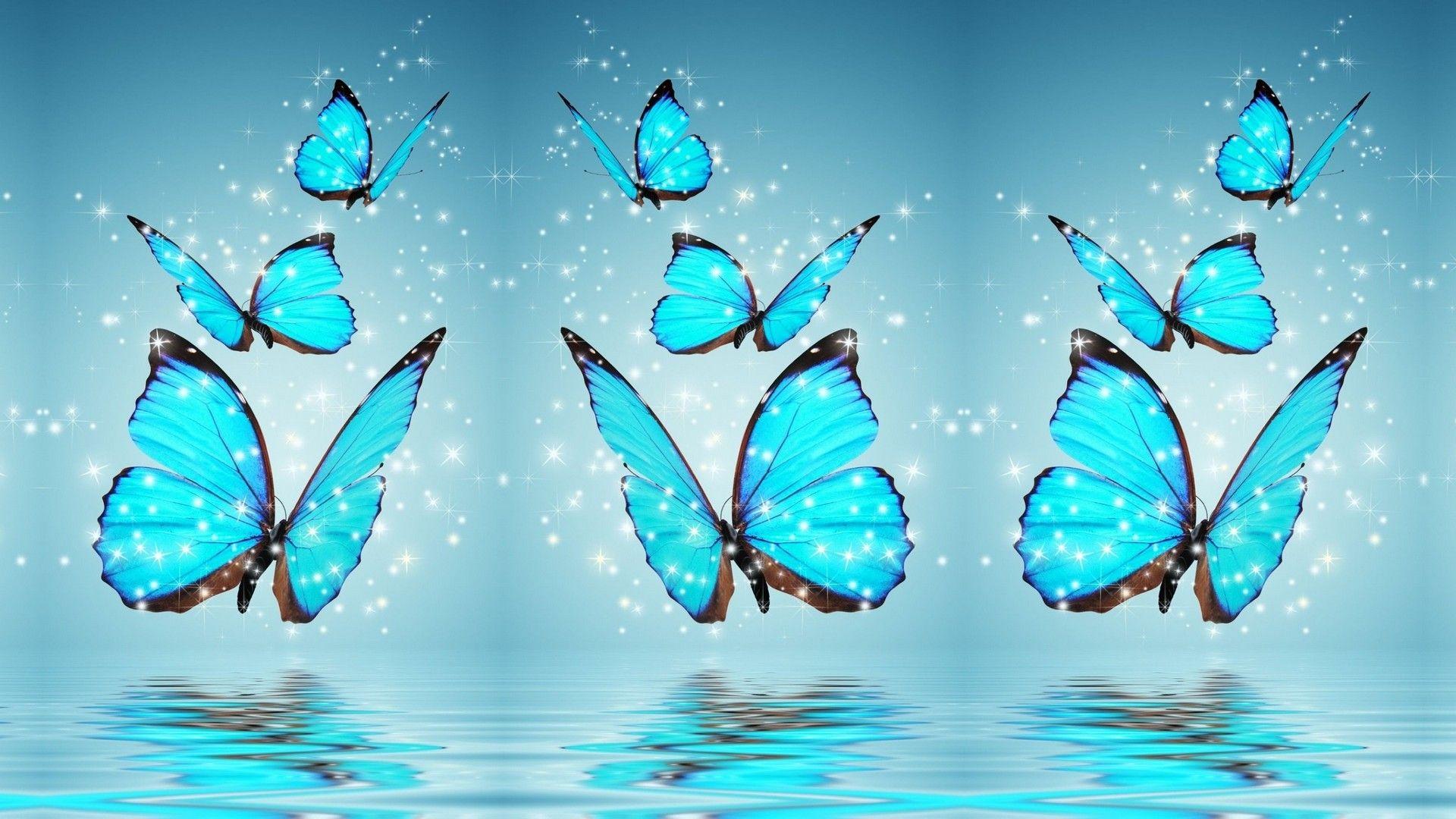 1920x1080 Blue Butterfly Desktop Background HD.  2020 Hình nền dễ thương