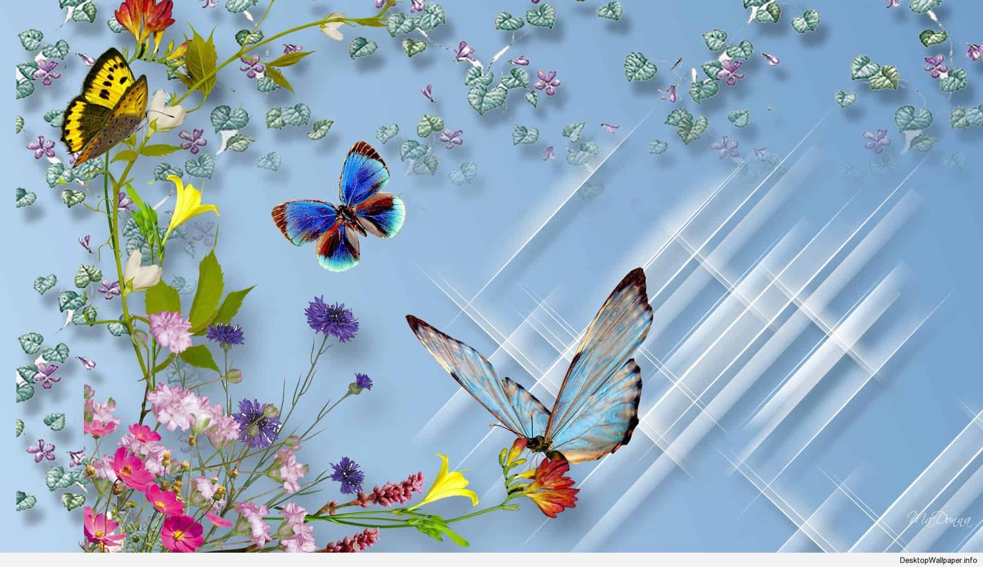 1920x1108 Desktop Wallpaper HD 3D Full Screen Butterfly