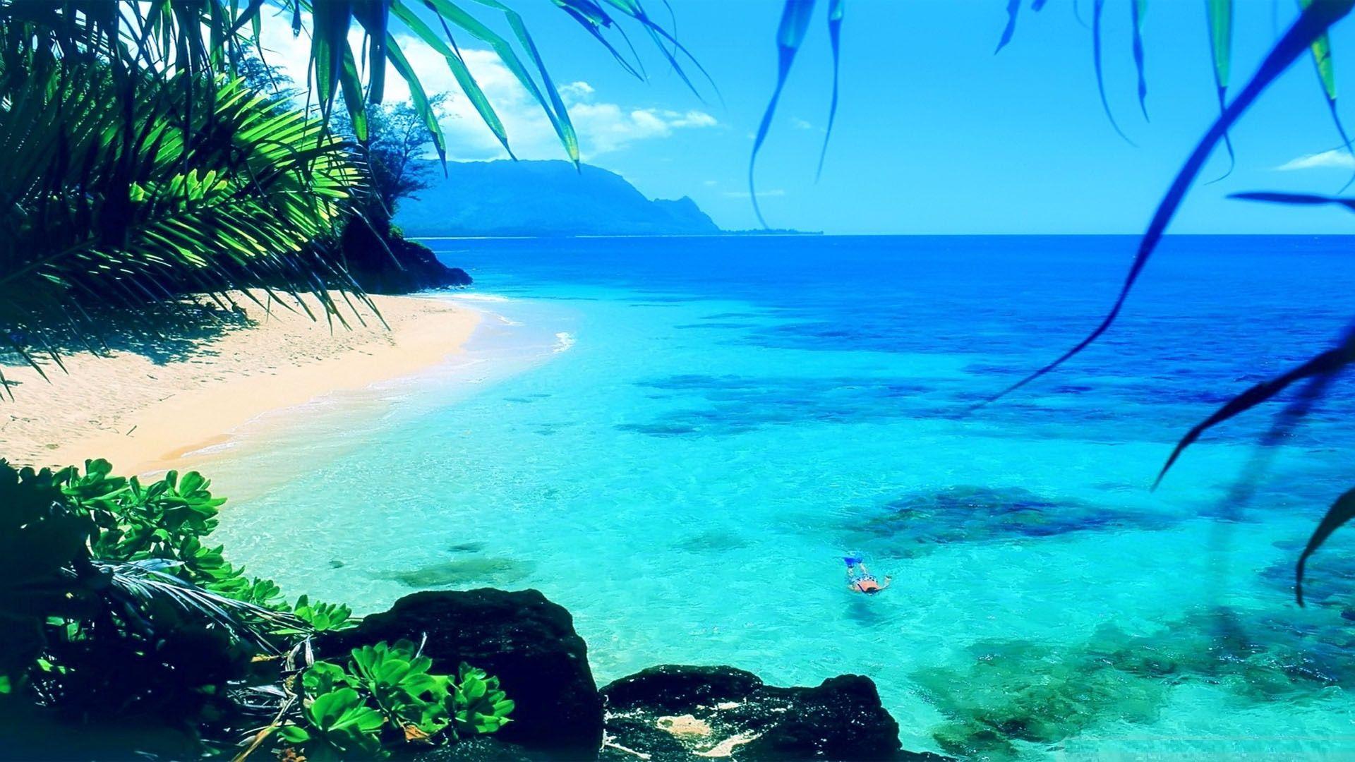 1920x1080 Summer Wallpaper Free Download