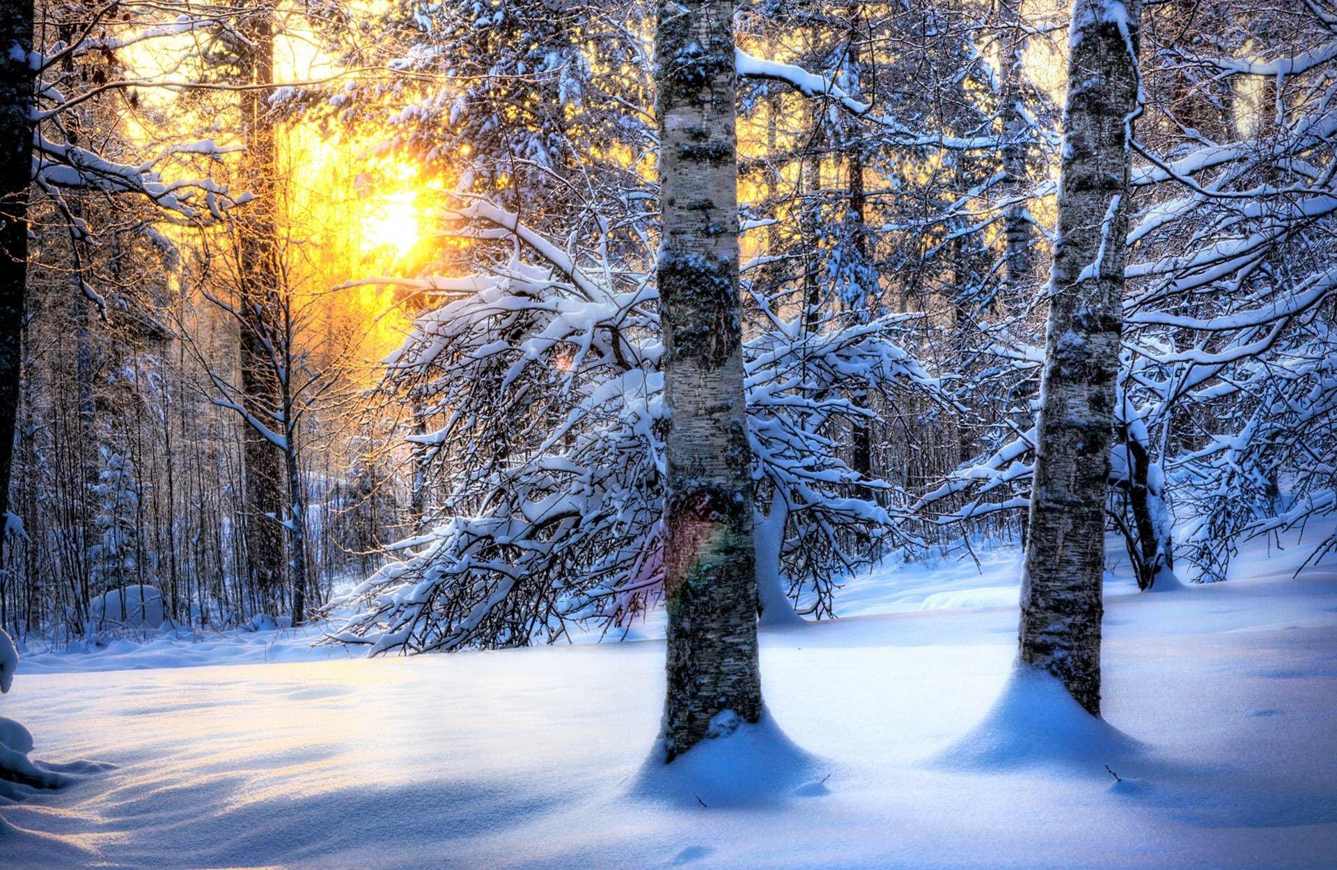 1920x1250 Winter Computer Wallpaper