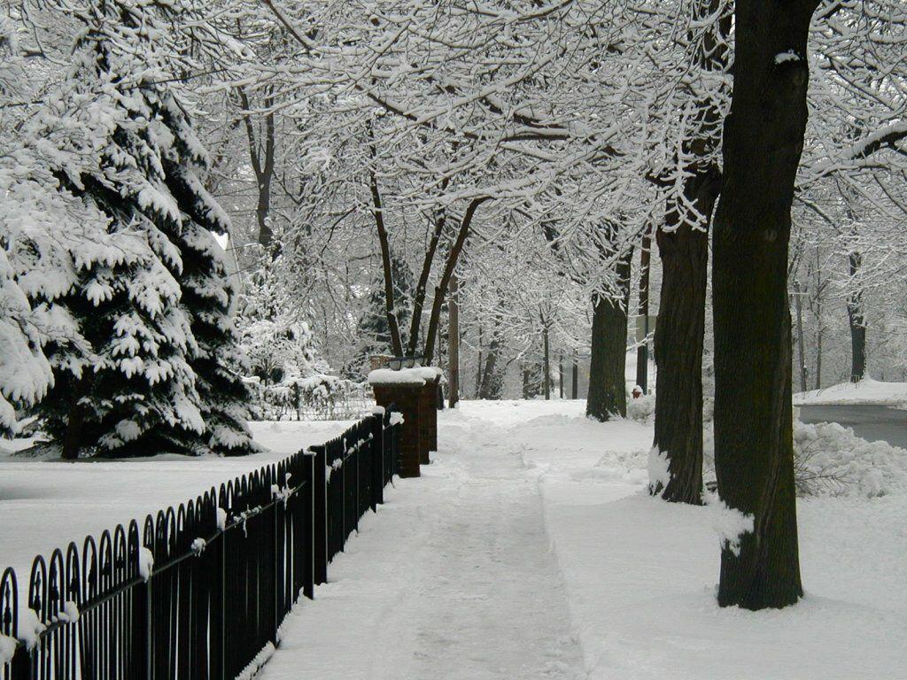 1024x768 winter. Winter desktop background