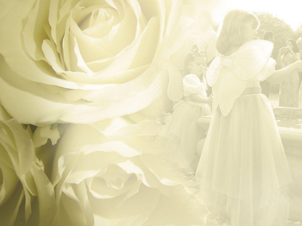 1024x768 Wedding Flower Background