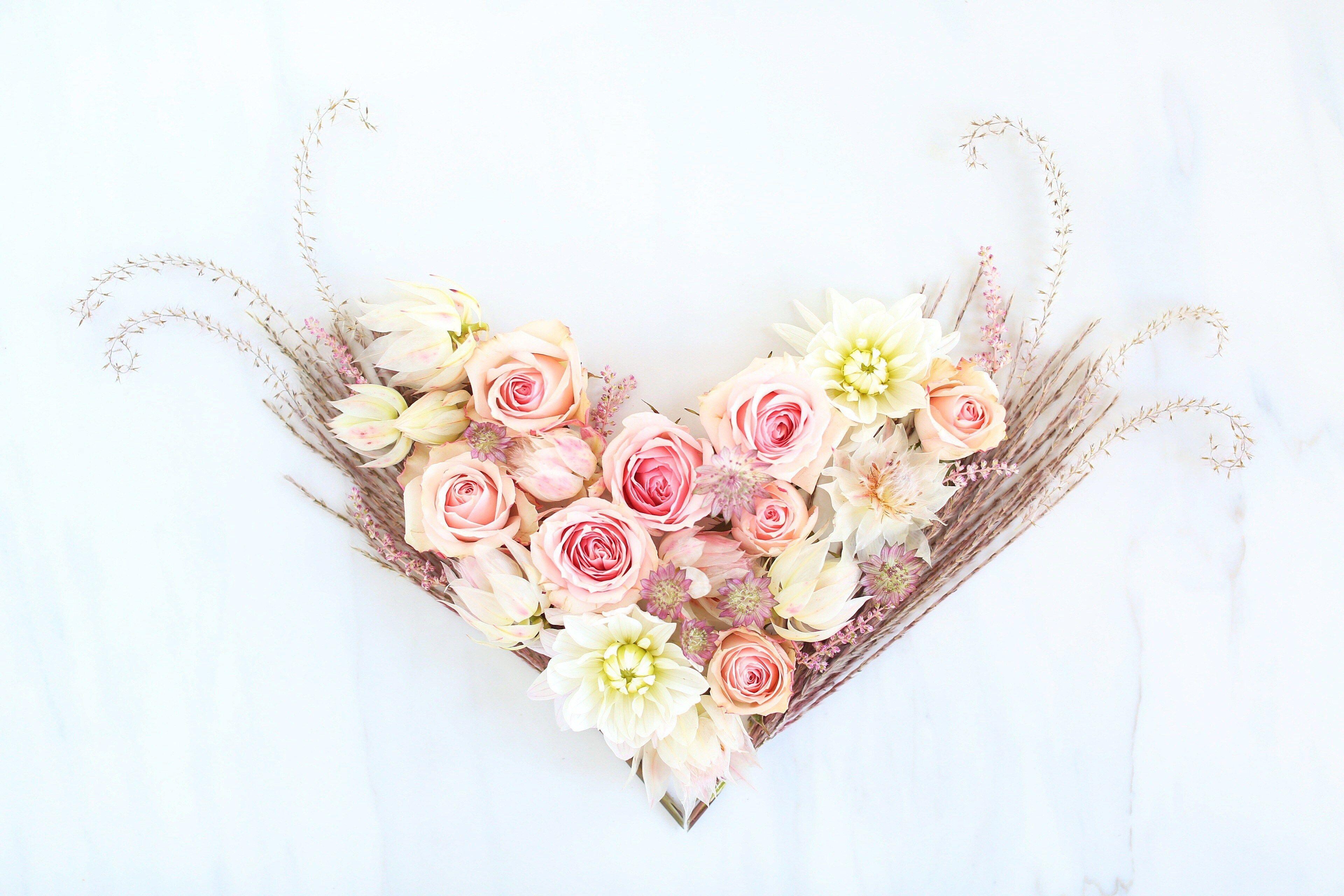 3840x2560 DIGITAL BLOOMS FEBRUARY 2018. FREE DESKTOP WALLPAPERS