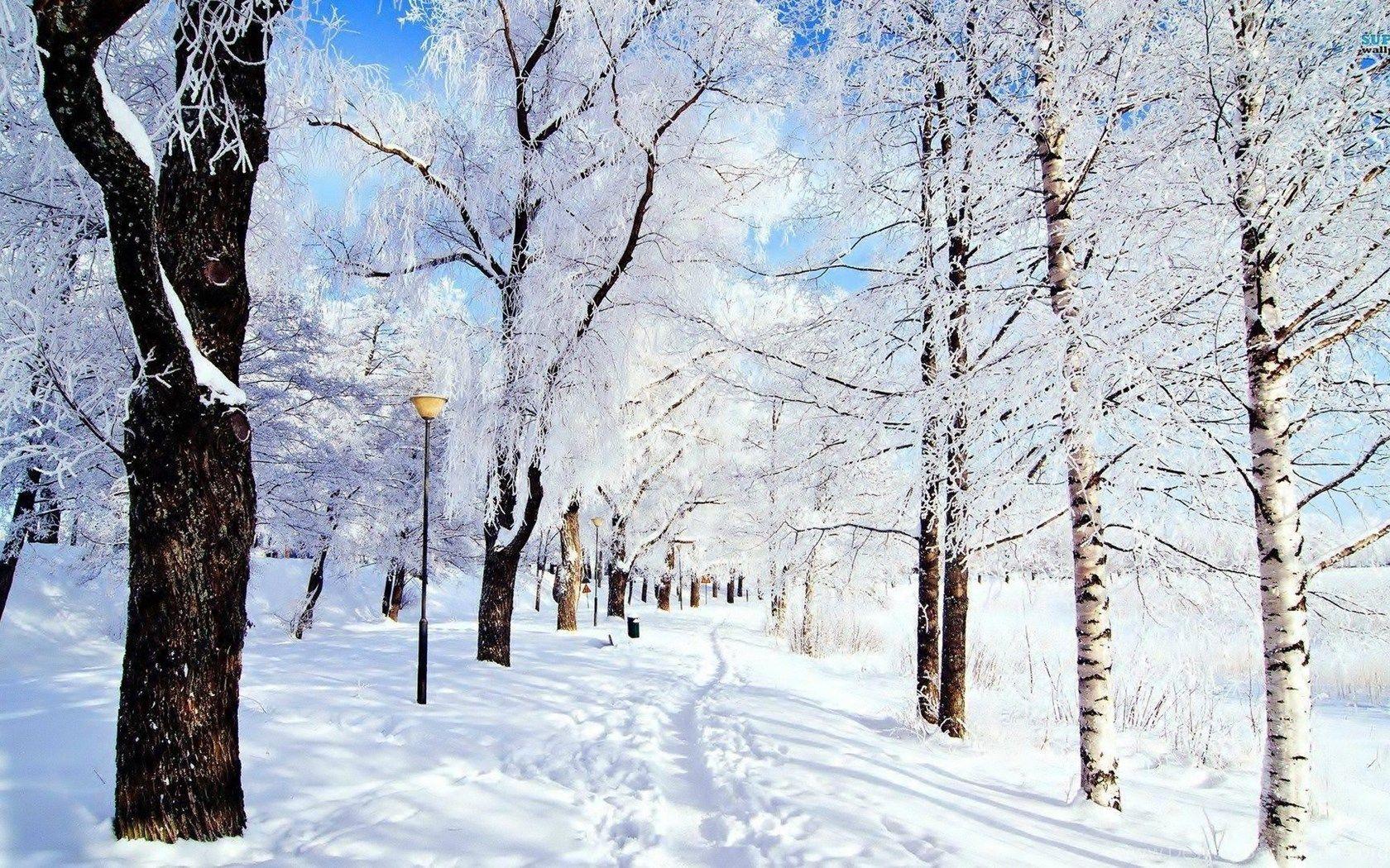 1680x1050 Winter Computer Wallpaper, Desktop Background Desktop