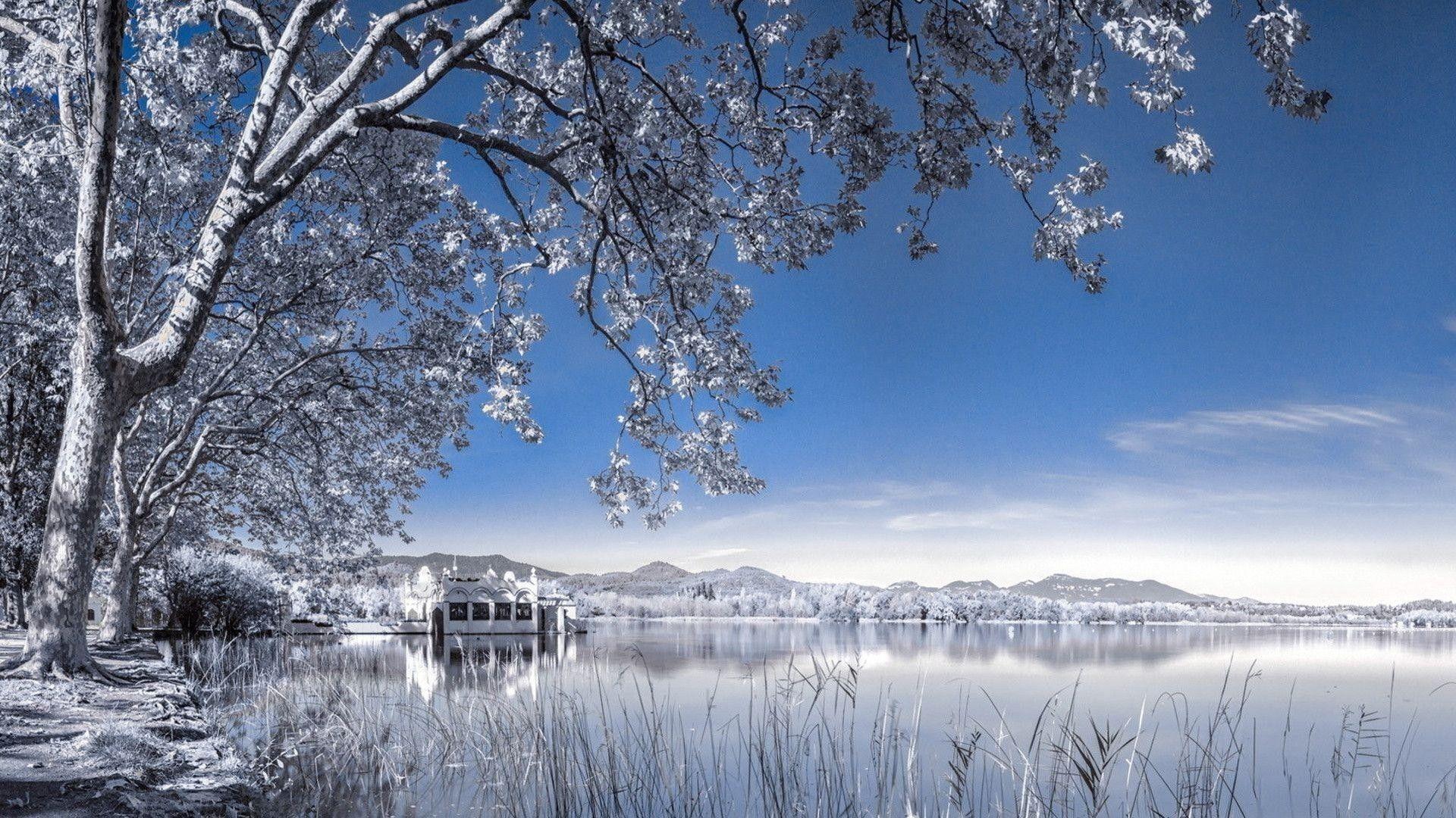 1920x1080 Winter Wallpaper for Computer
