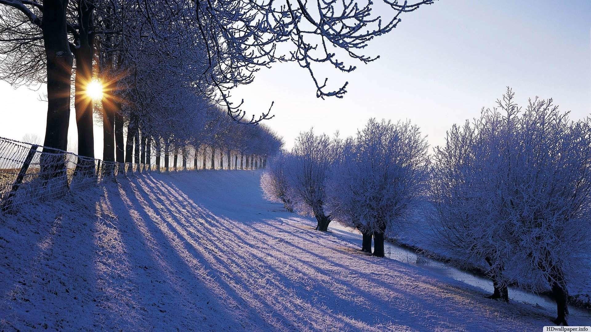 1920x1080 Winter Computer Wallpaper