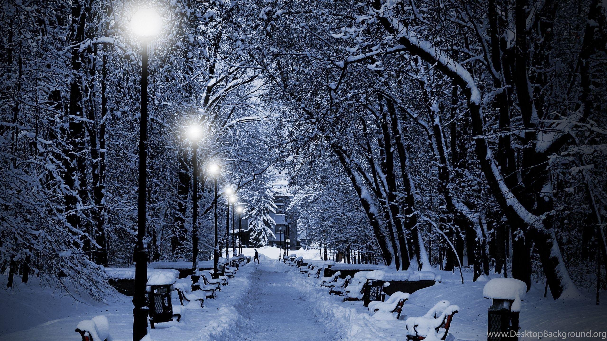 2560x1440 Winter Computer Wallpaper, Desktop Background Desktop
