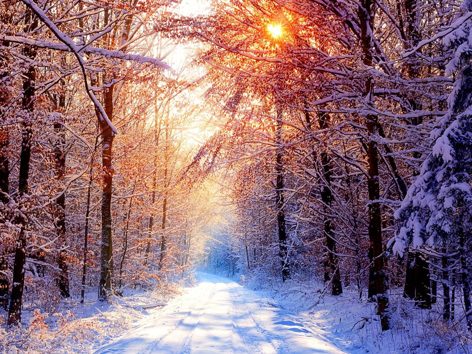 1600x1200 winter computer wallpaper free
