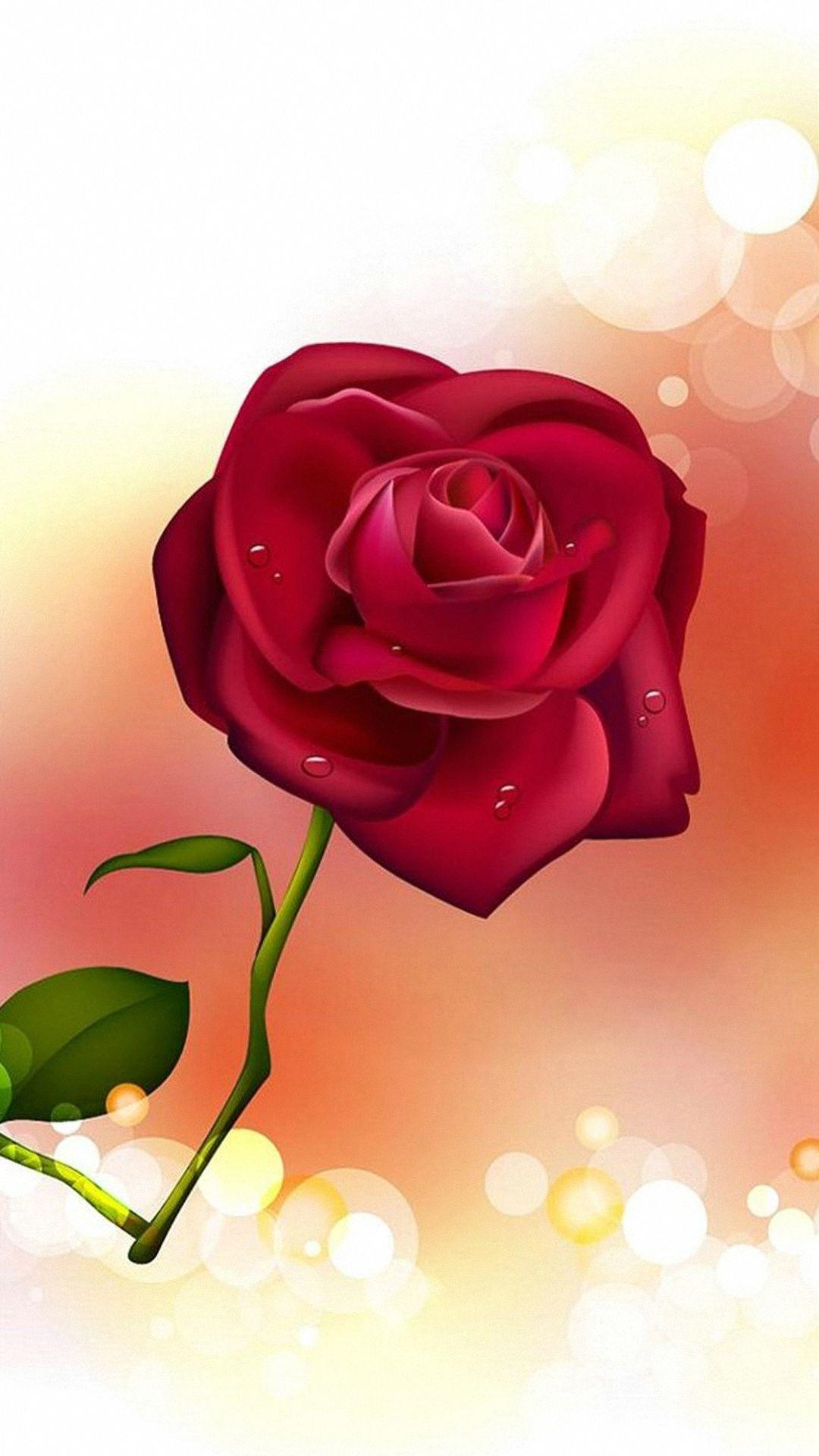 Mobile Rose Wallpapers - Top Free Mobile Rose Backgrounds - WallpaperAccess