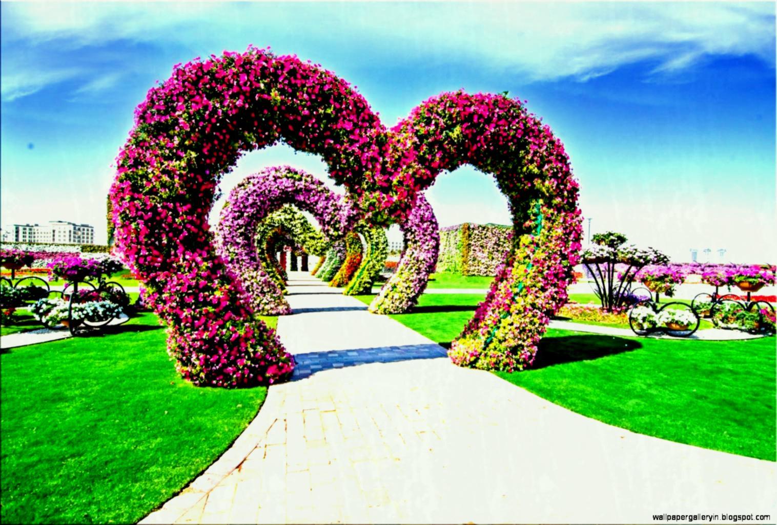 Flower Garden look nice HD phone wallpaper  Peakpx