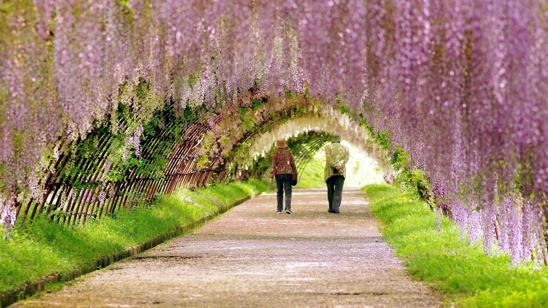 1920x1080 Download wallpaper 1920x1080 garden, spring, people, walk
