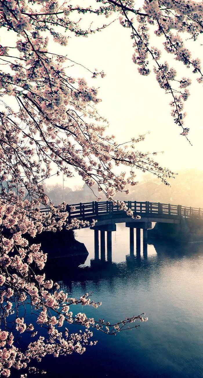 HD Spring Wallpapers - Top Free HD Spring Backgrounds - WallpaperAccess