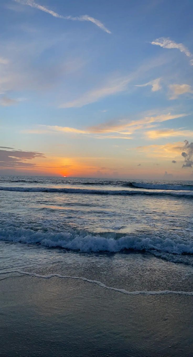 736x1361 Beach wall collage, Beachy wallpaper