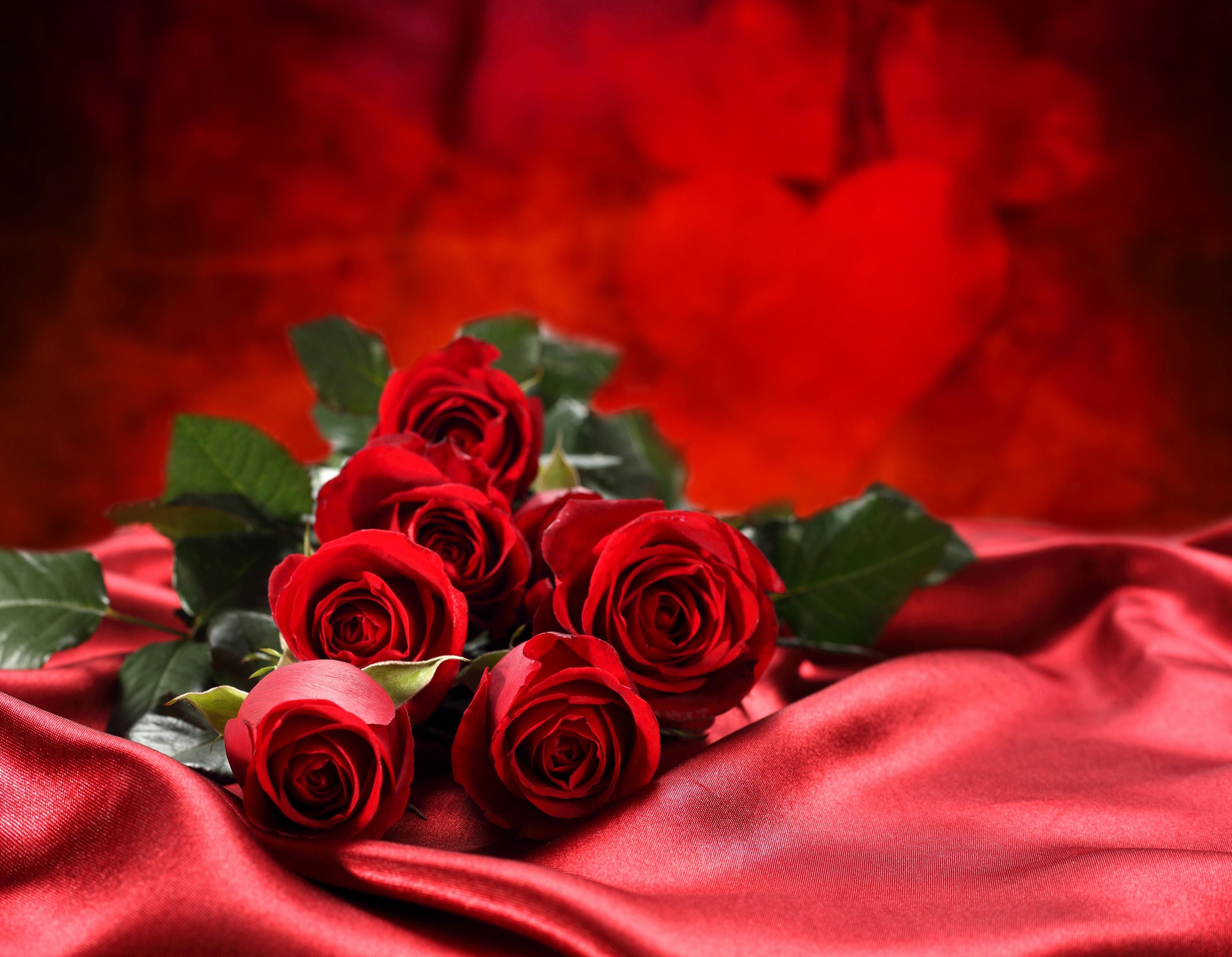 Hình nền hoa hồng đỏ 4350x3380 - Bó hoa tình yêu hoa hồng đỏ
