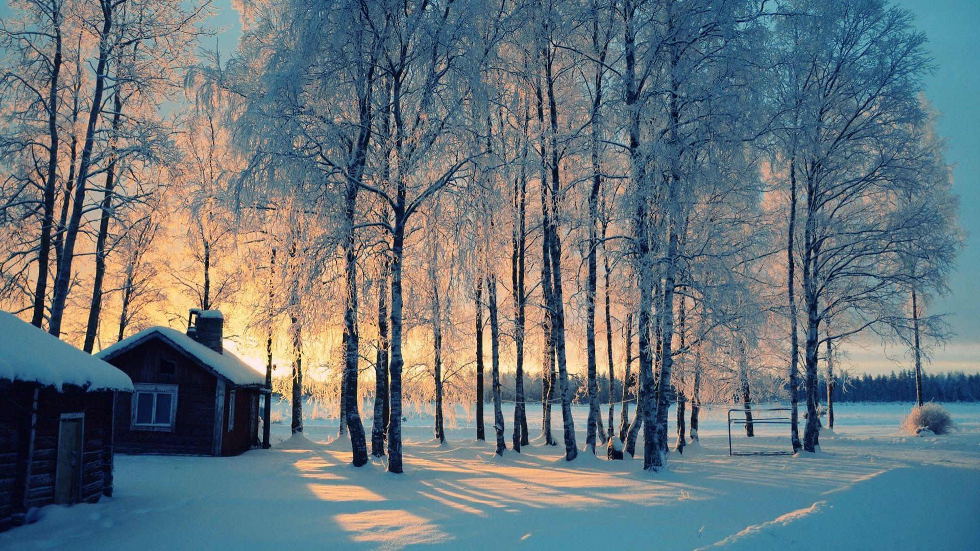 1920x1080 Winter Wallpaper Desktop Hd, HD Wallpaper