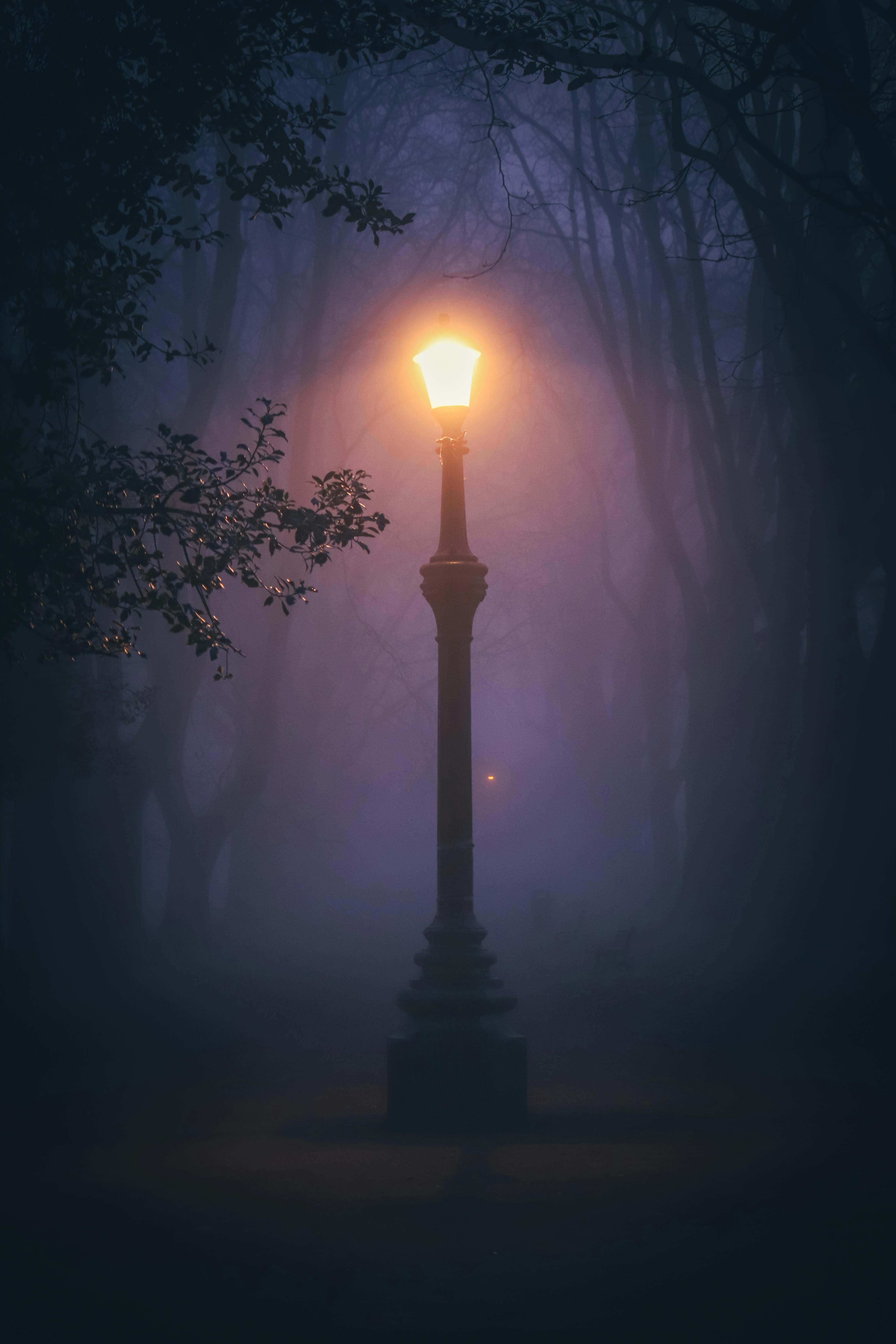 Street Lamp In Fog Wallpapers - Top Free Street Lamp In Fog Backgrounds