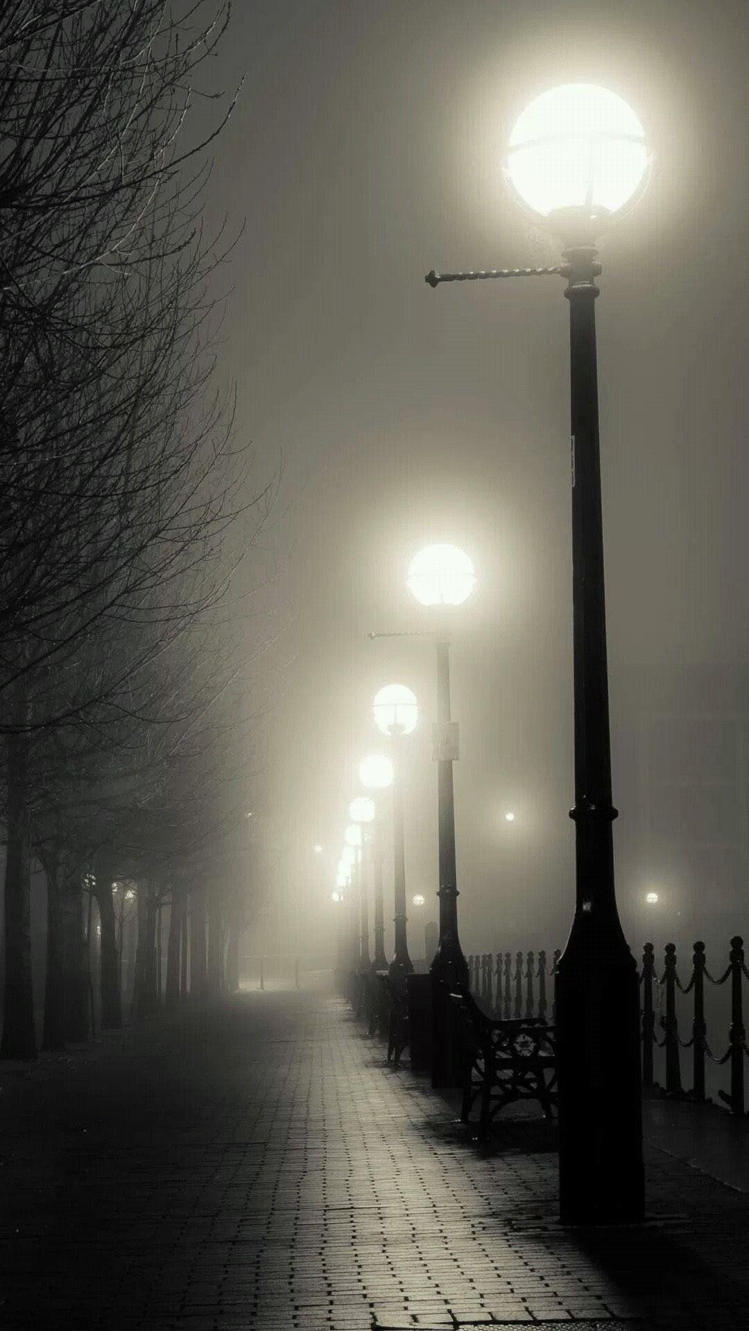 1080x1920 Street Lamp In The Fog Wallpaper