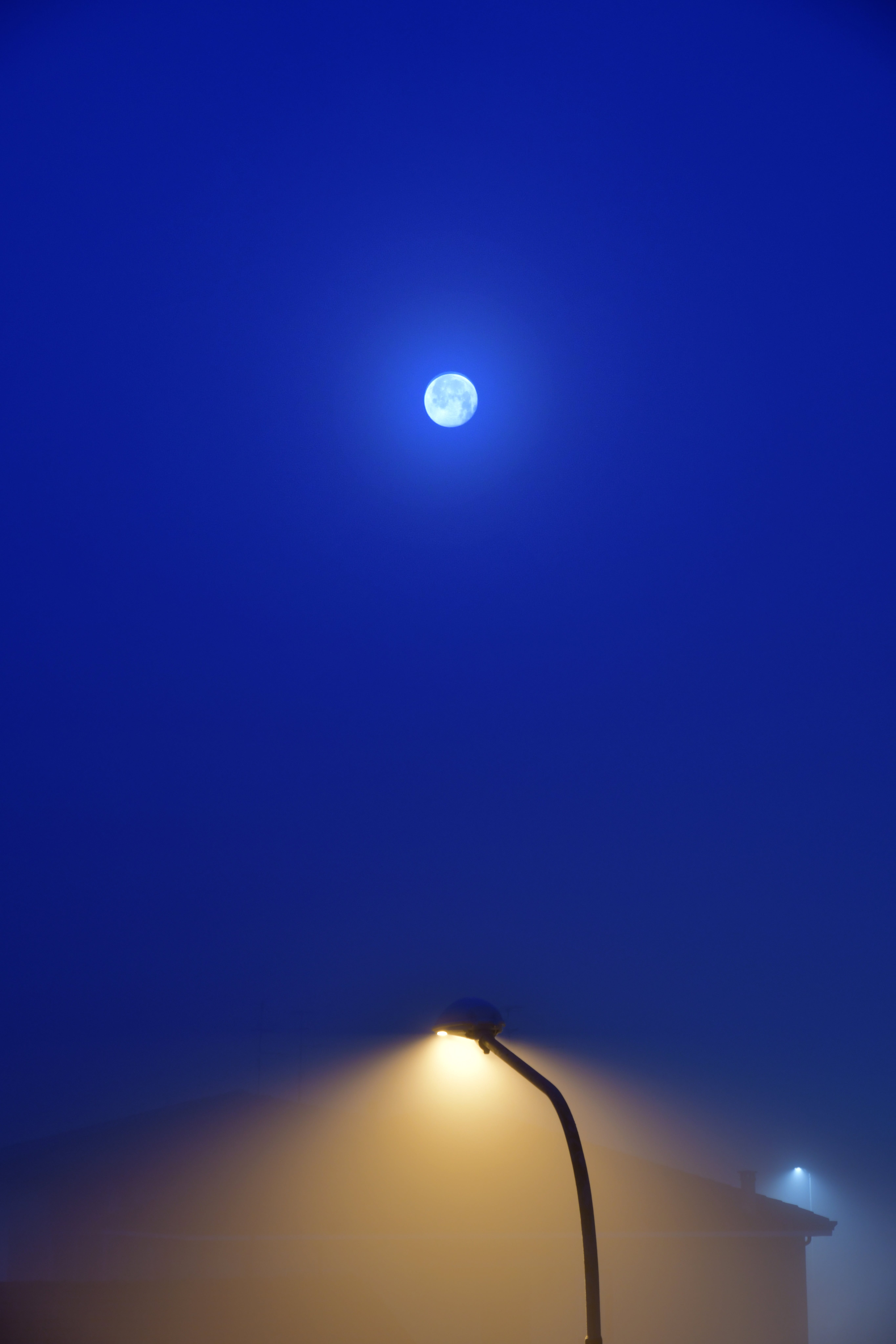5461x8192 Dim Streetlight at Night in Fog · Free