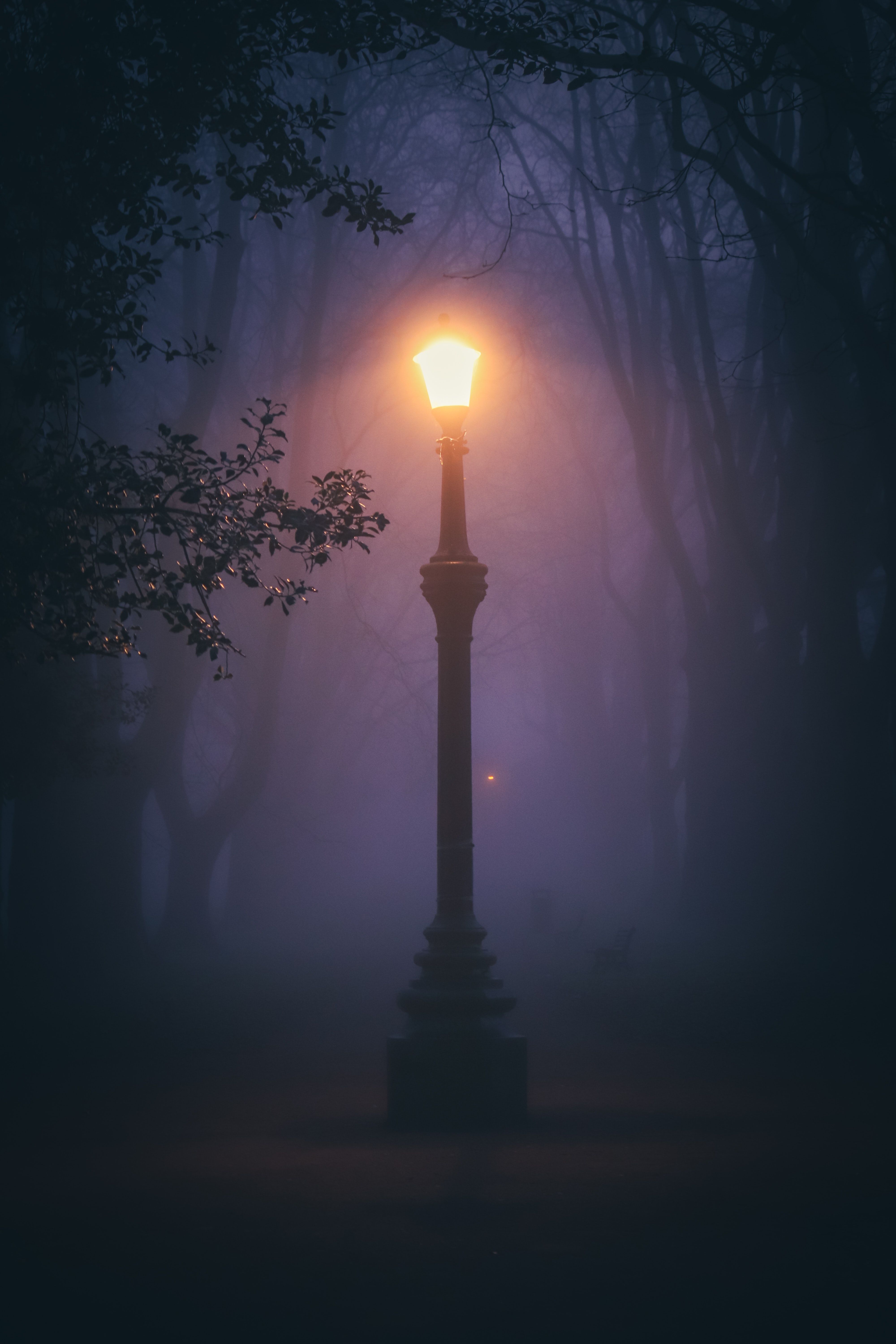 Street Lamp In Fog Wallpapers - Top Free Street Lamp In Fog Backgrounds