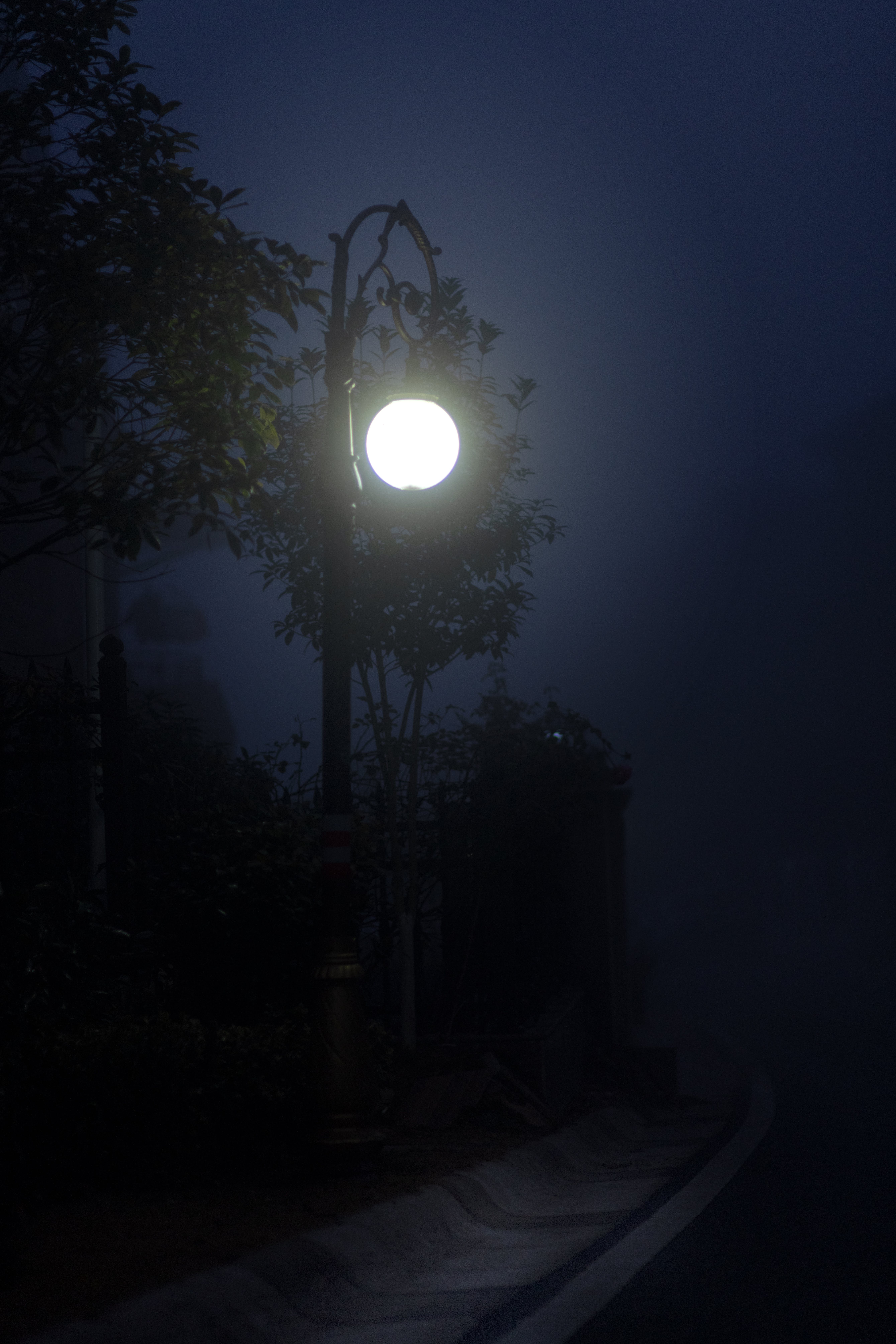 5358x8037 Street Lights in Fog at Night · Free