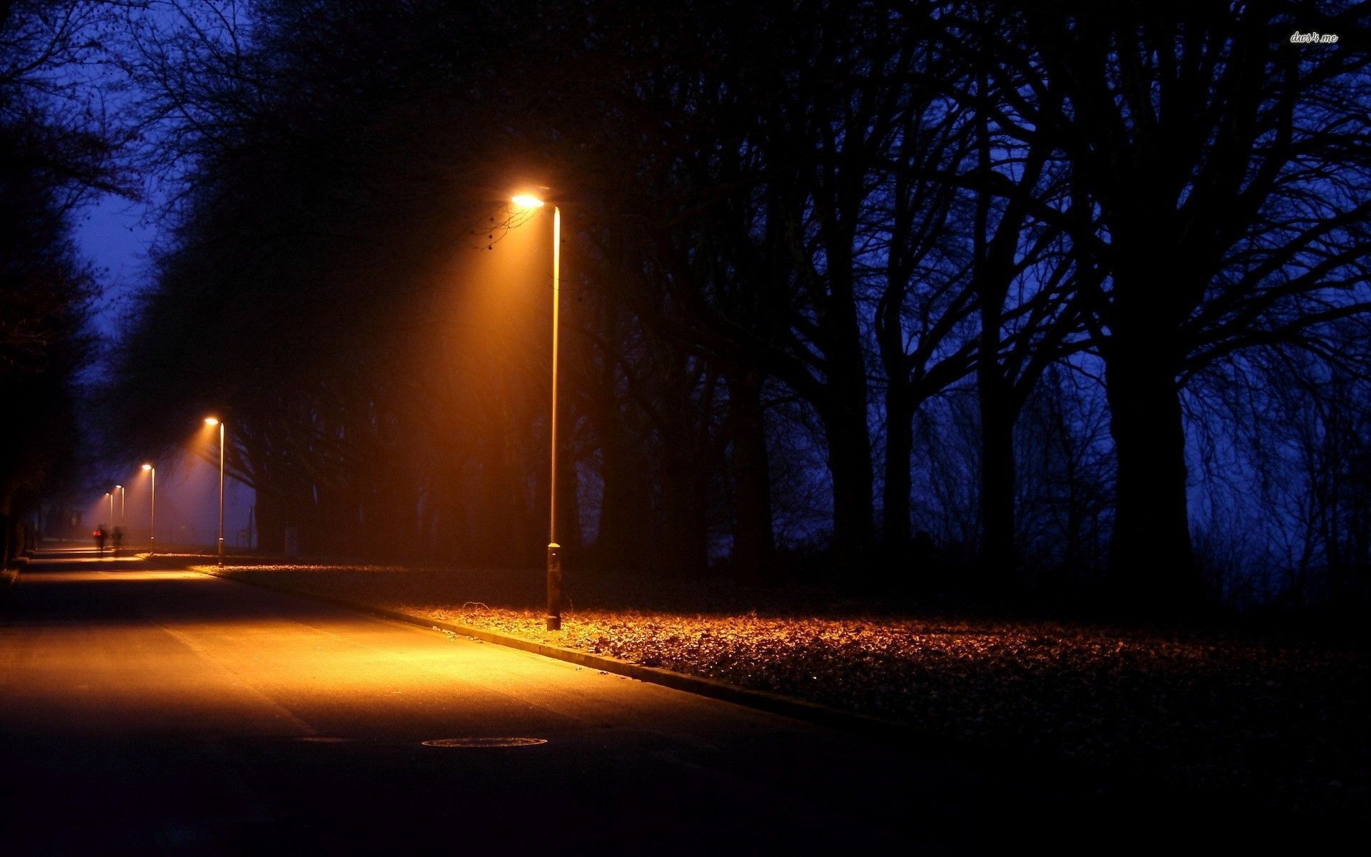 Street Lamp In Fog Wallpapers - Top Free Street Lamp In Fog Backgrounds ...