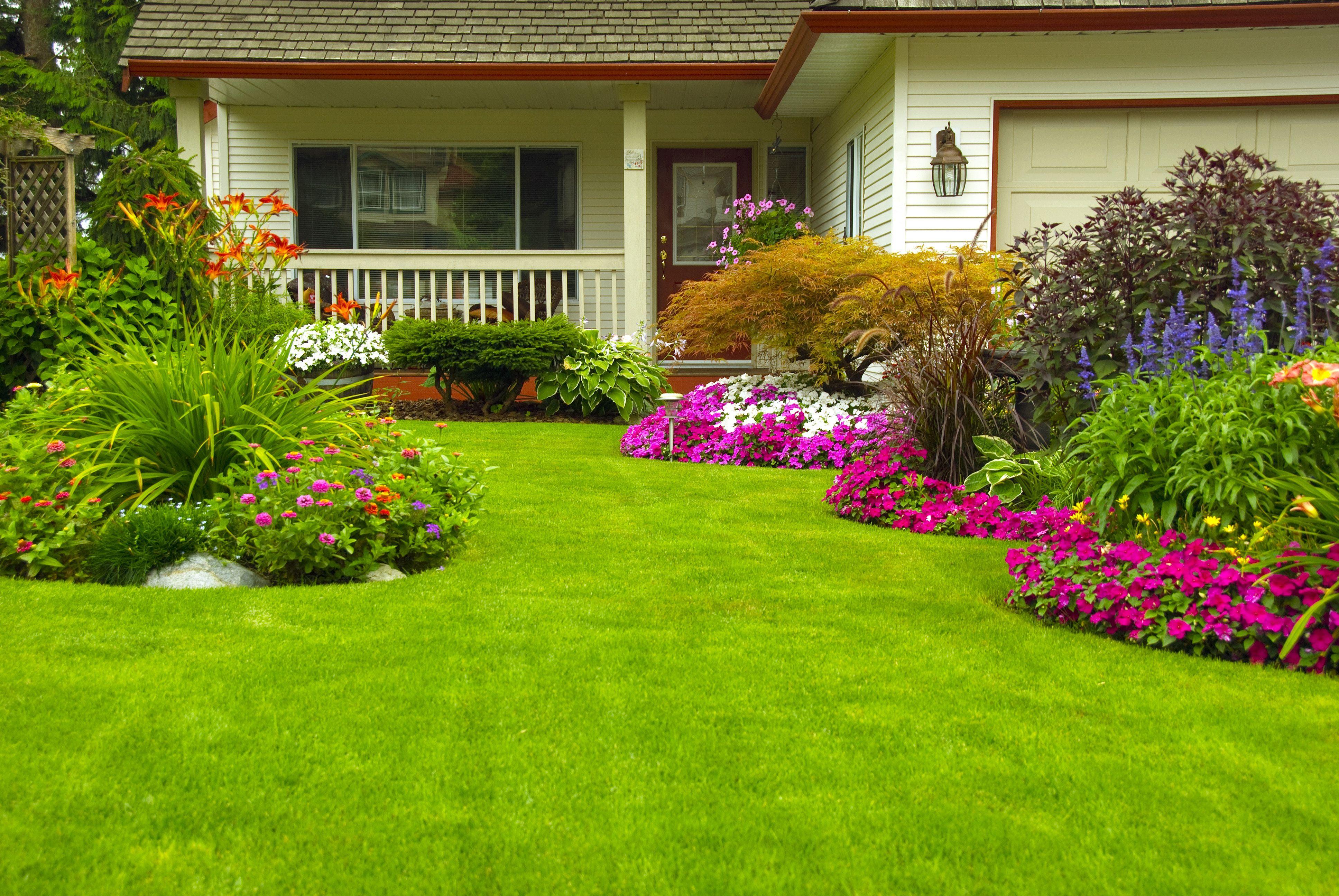 3872x2592 Garden HD wallpaper Gallery