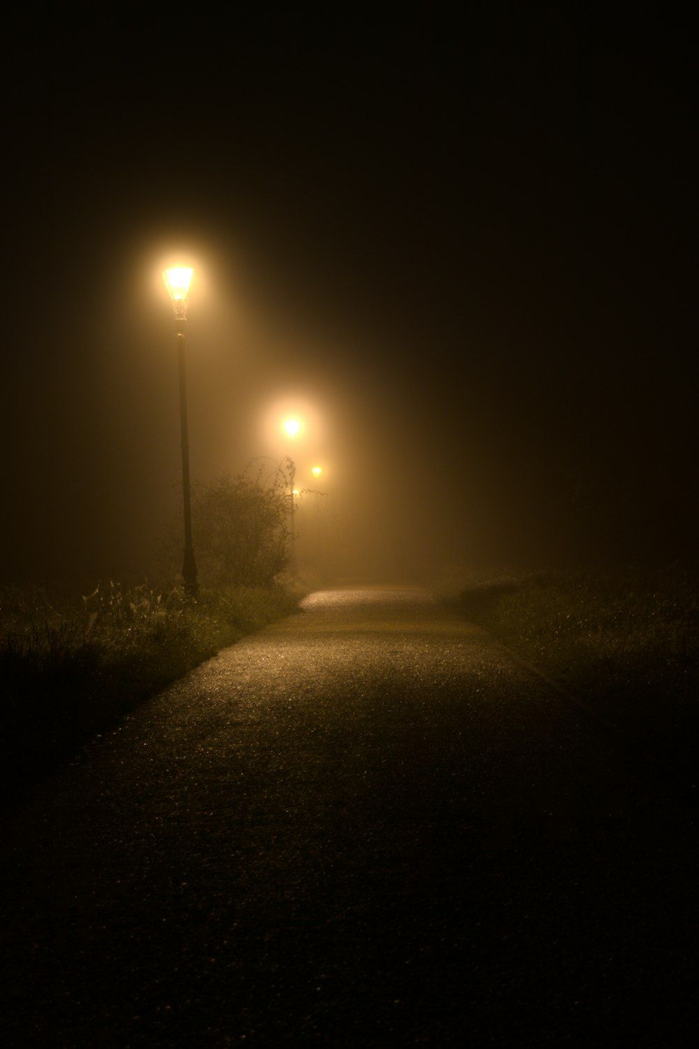 Street Lamp In Fog Wallpapers - Top Free Street Lamp In Fog Backgrounds ...