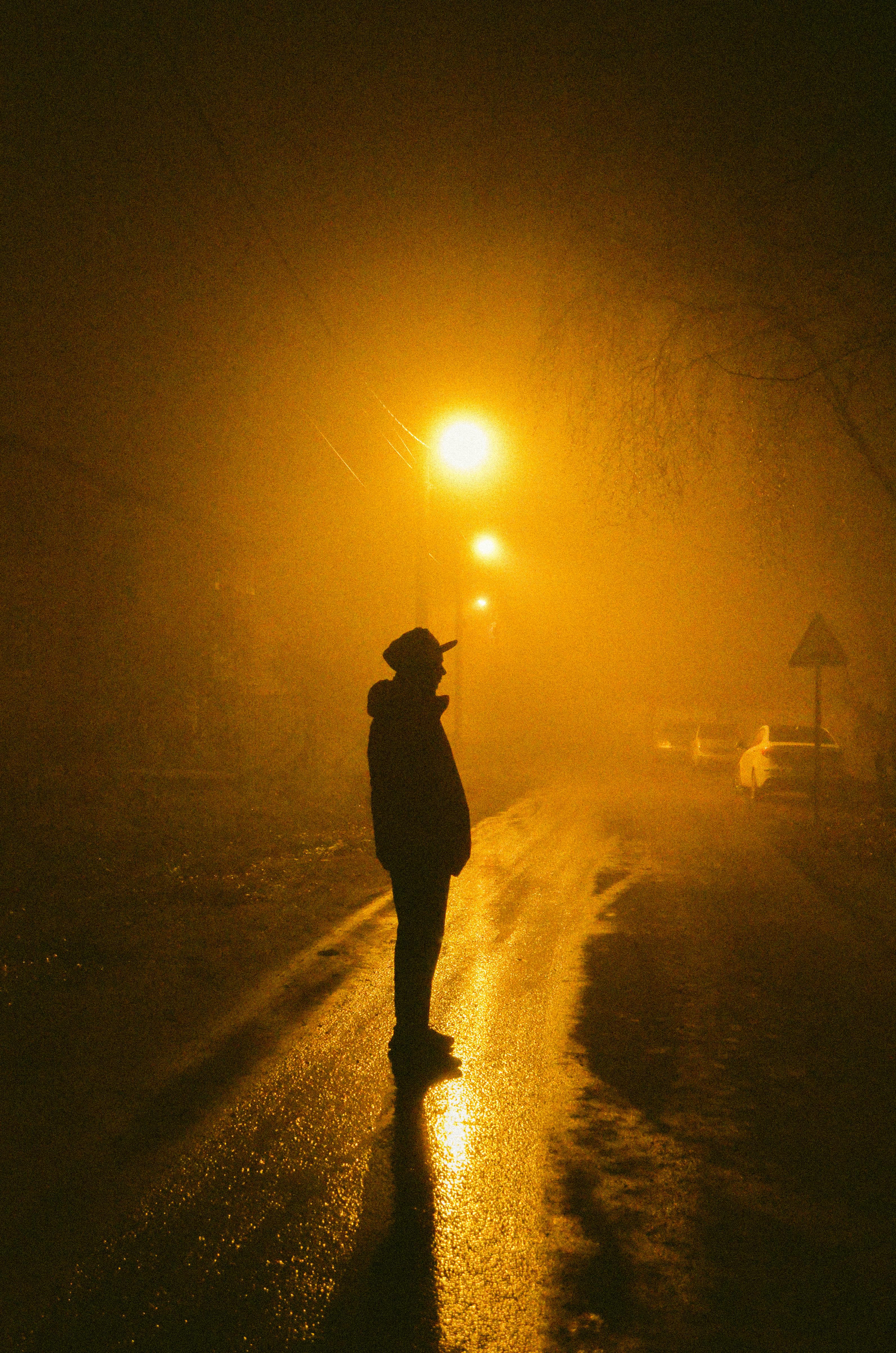 3185x4809 Street Light · Free
