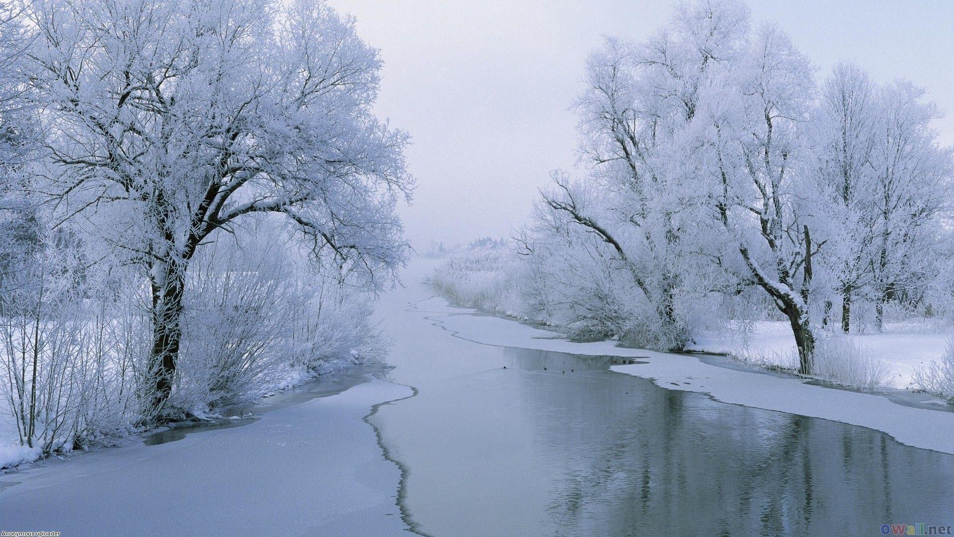1920x1080 Winter Wallpaper