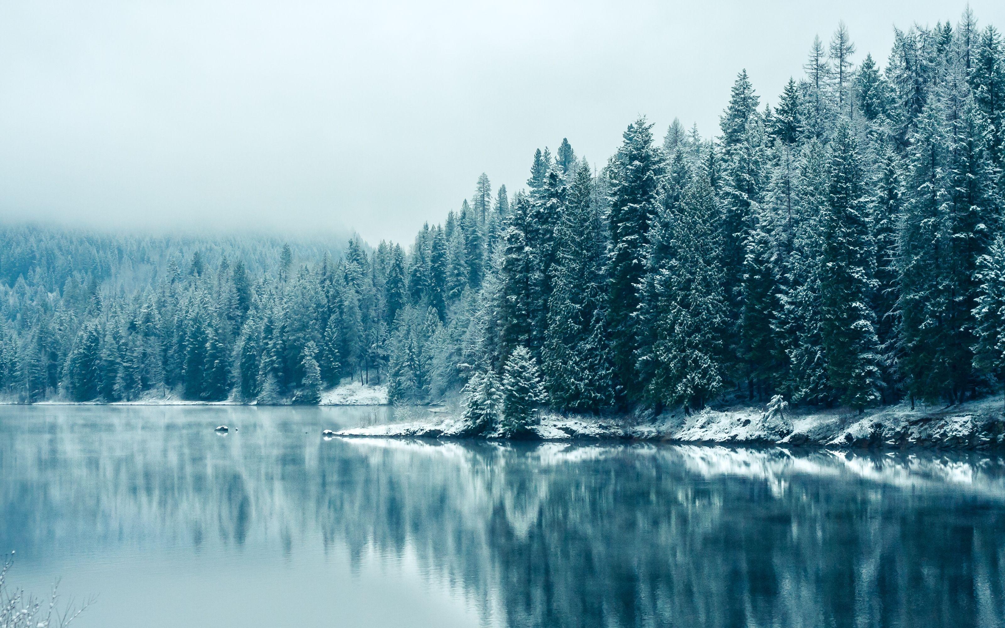 Featured image of post Pinterest Wallpaper Laptop Winter - See more ideas about winter wallpaper, winter background, winter.