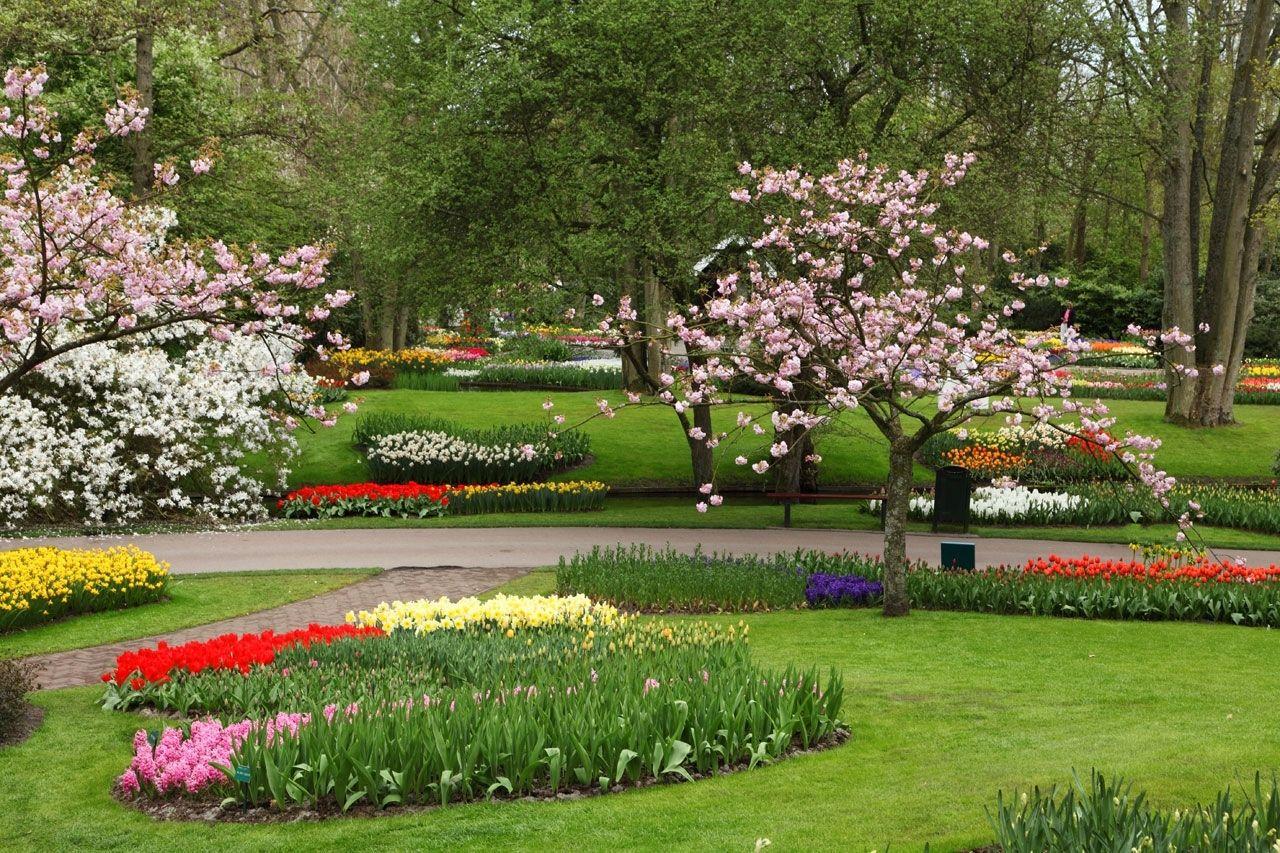 1280x853 Top Flower Garden HD Wallpaper FULL HD 1080p For PC