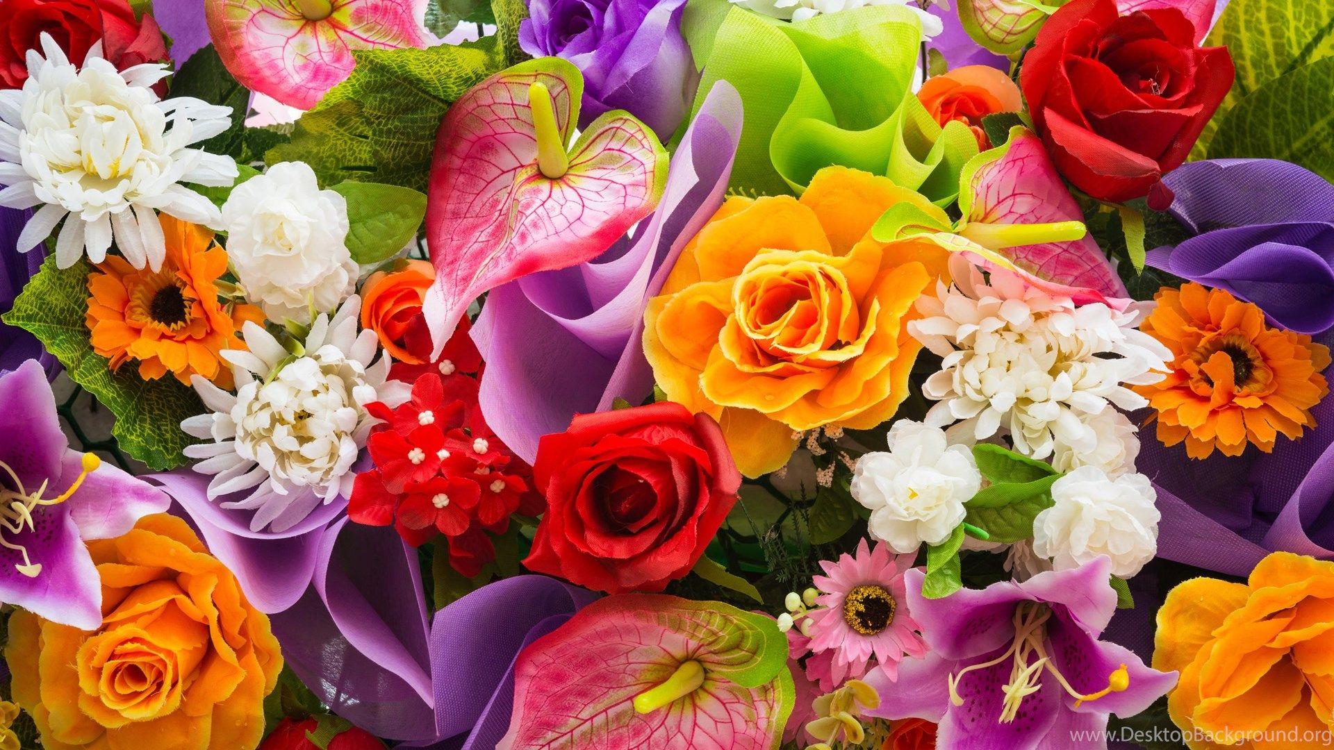 1920x1080 Colorful Flowers Wallpaper HD Desktop Background