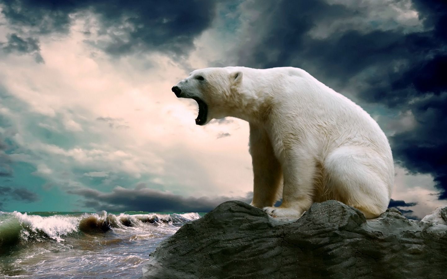 1440x900 Snow Bear Wallpaper