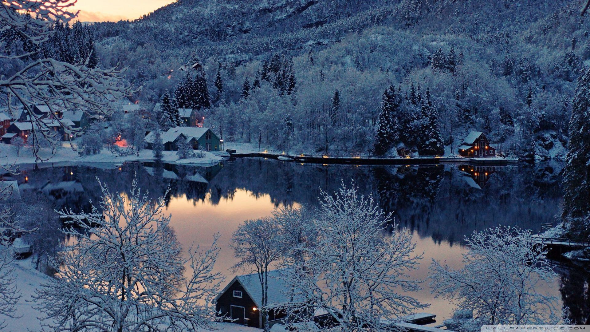 1920x1080 Winter Background, Download picture of a natural tree winter
