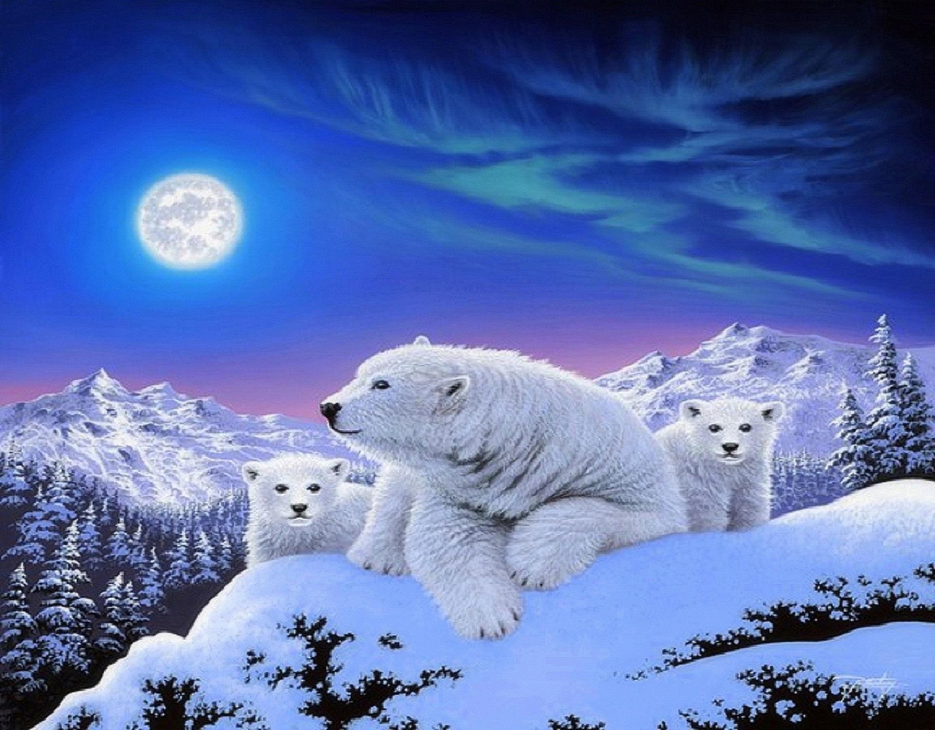 1920x1500 Polar Bears