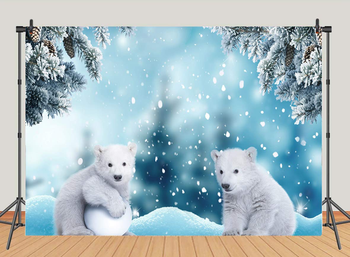 1181x866 Polar Bear Photography Background