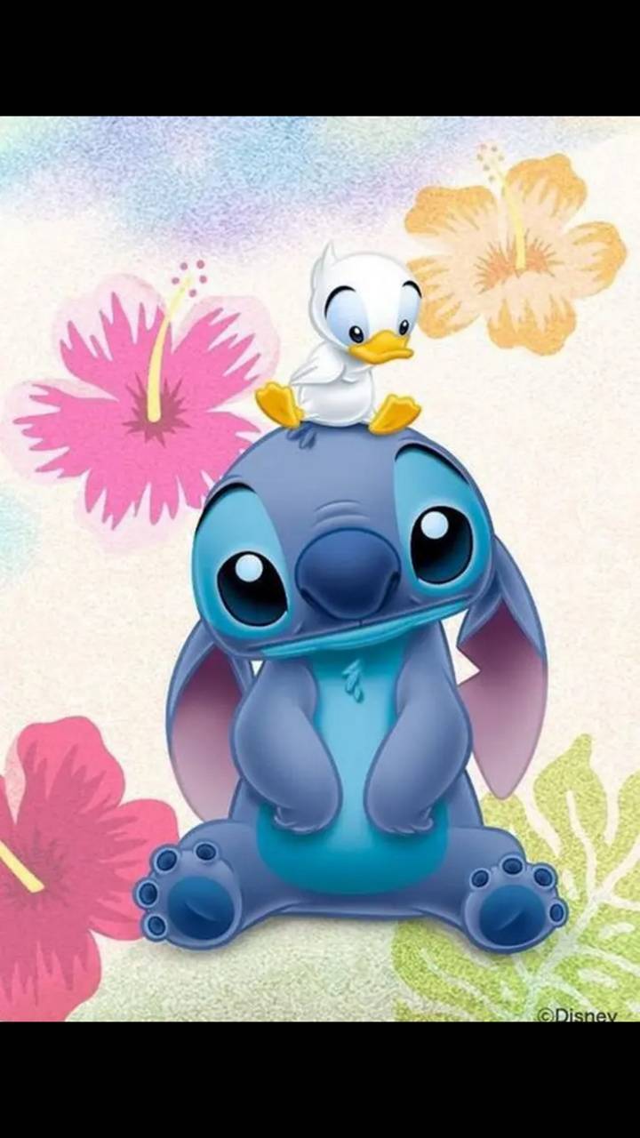 Baby Stitch Wallpapers  Top Free Baby Stitch Backgrounds  WallpaperAccess