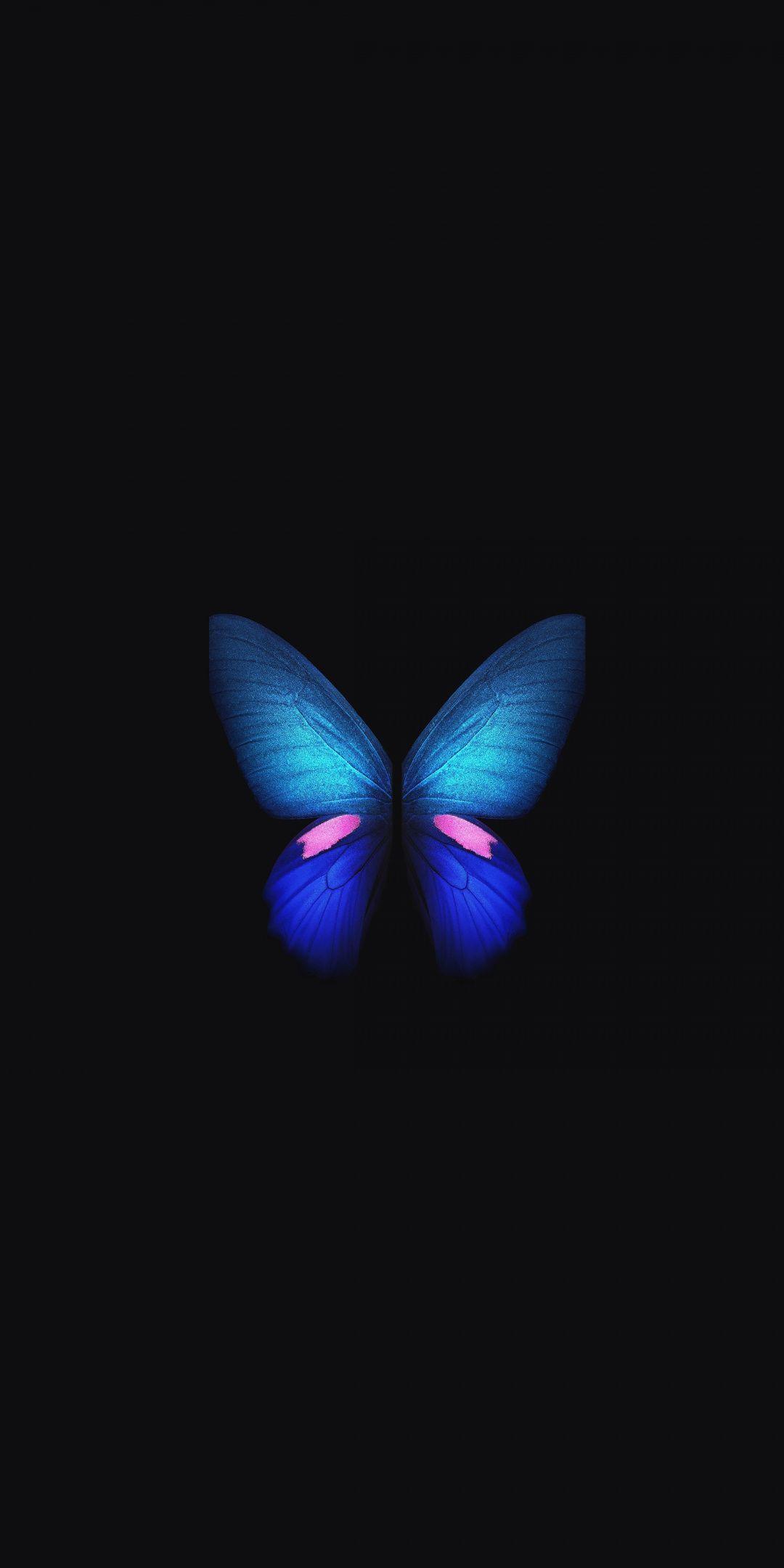 1080x2160 Samsung Galaxy Fold, Blue butterfly, minimal, art, 1080x2160 wallpaper. Butterfly wallpaper iphone, Blue butterfly wallpaper, Butterfly wallpaper