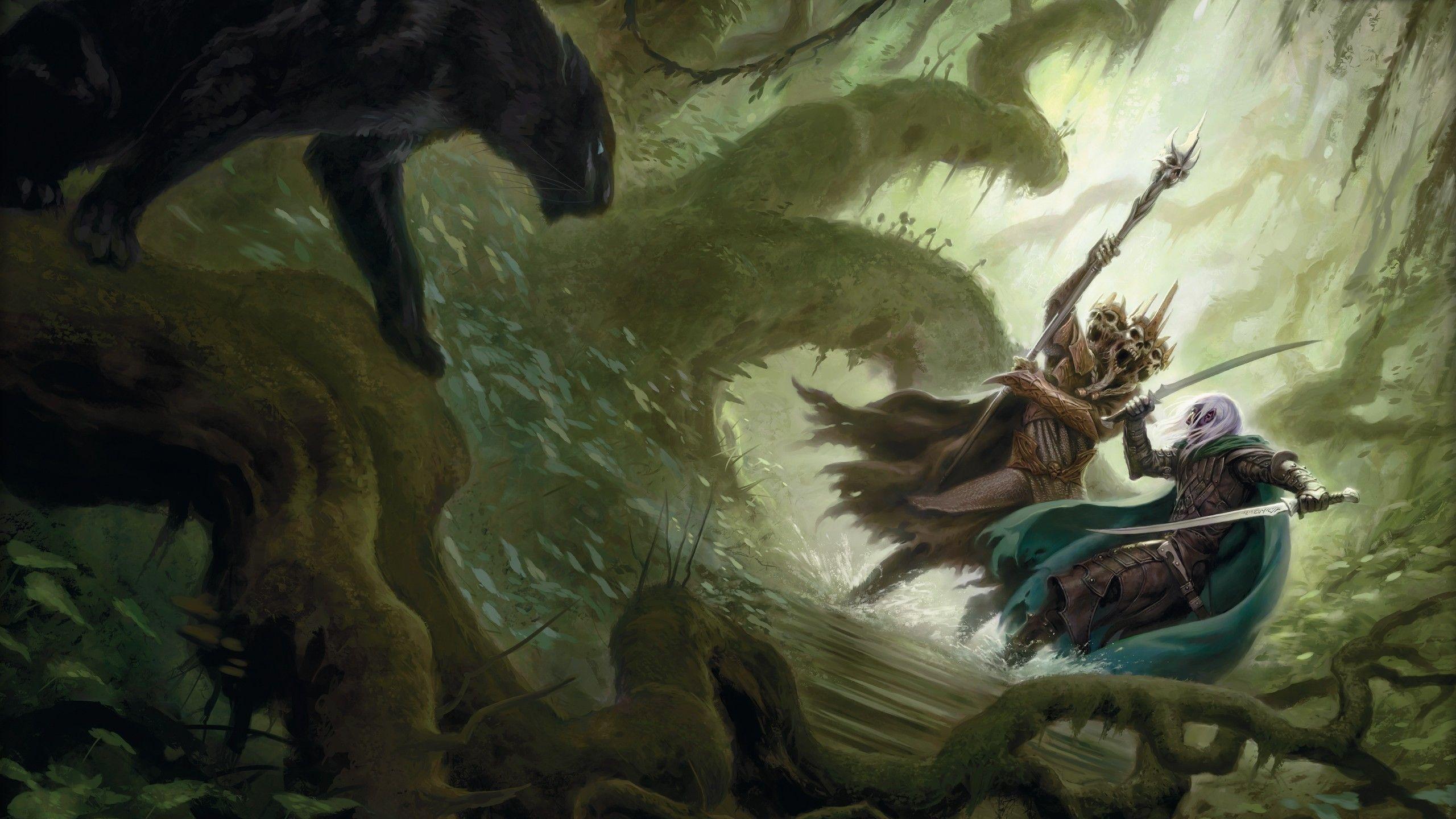 2560x1440 Dungeons & Dragons HD Wallpaper and Background Image